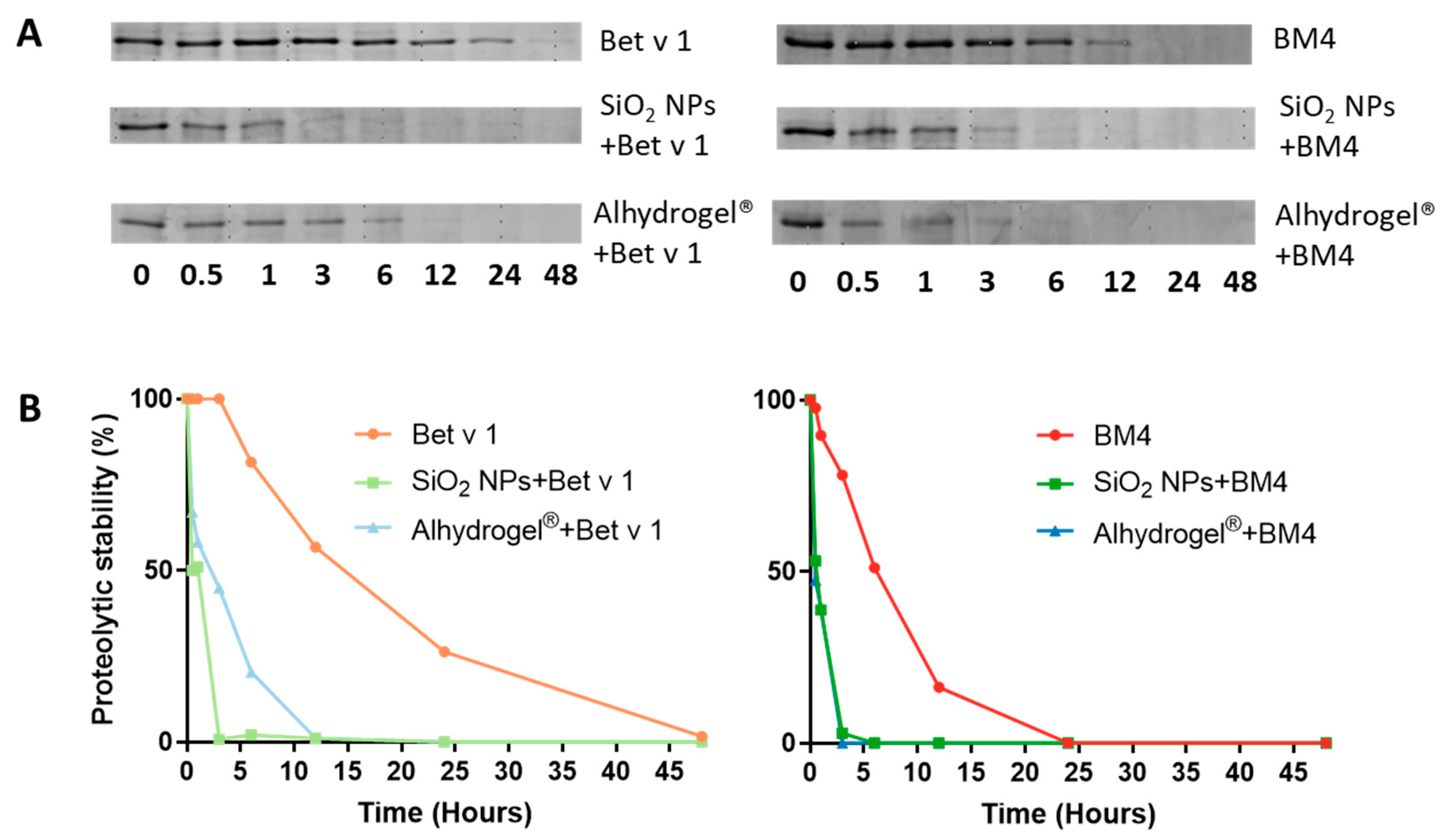 Ijms 22 10895 g003 550