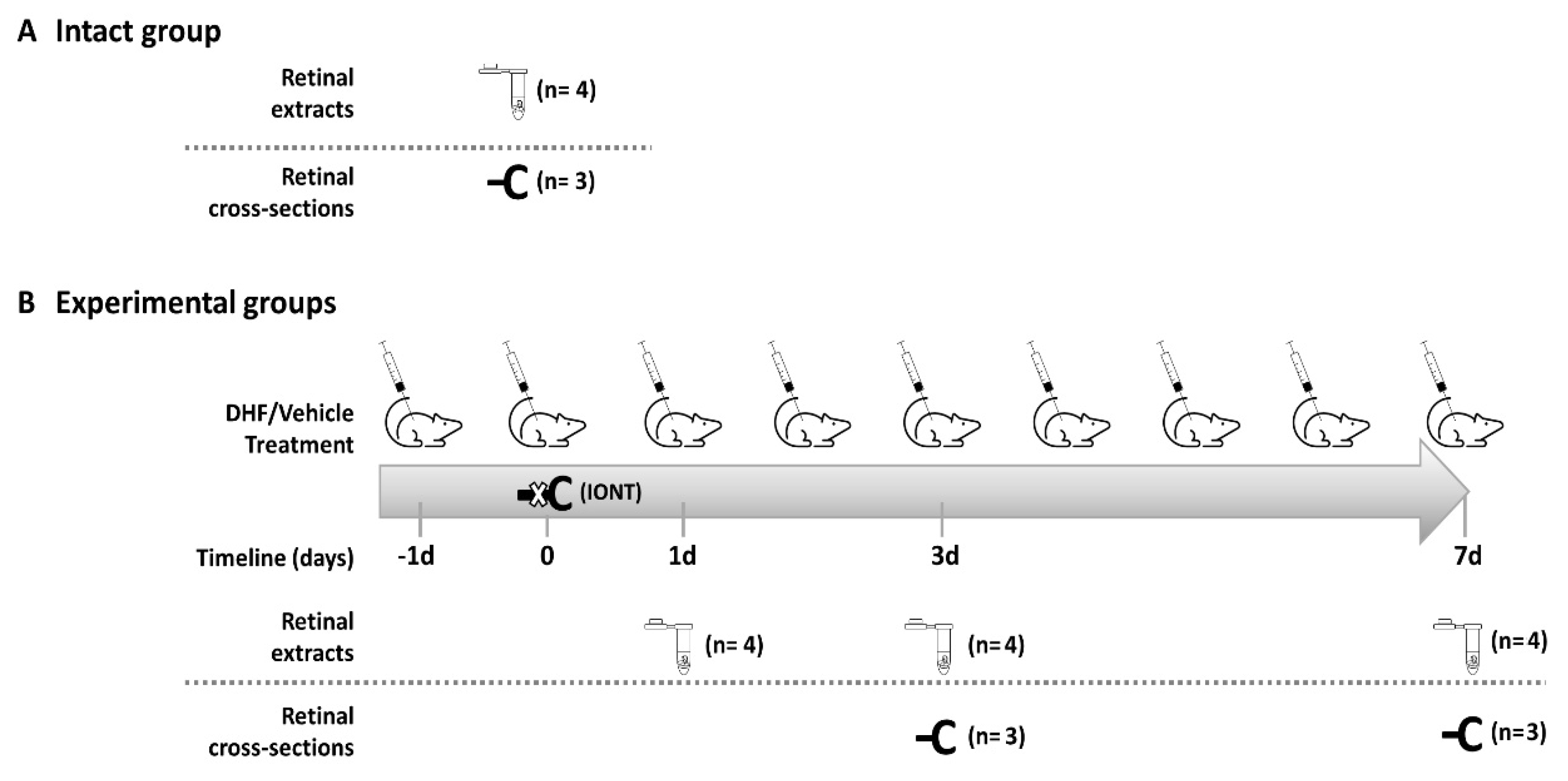 Ijms 22 10896 g005 Ijms 22 10896 g005
