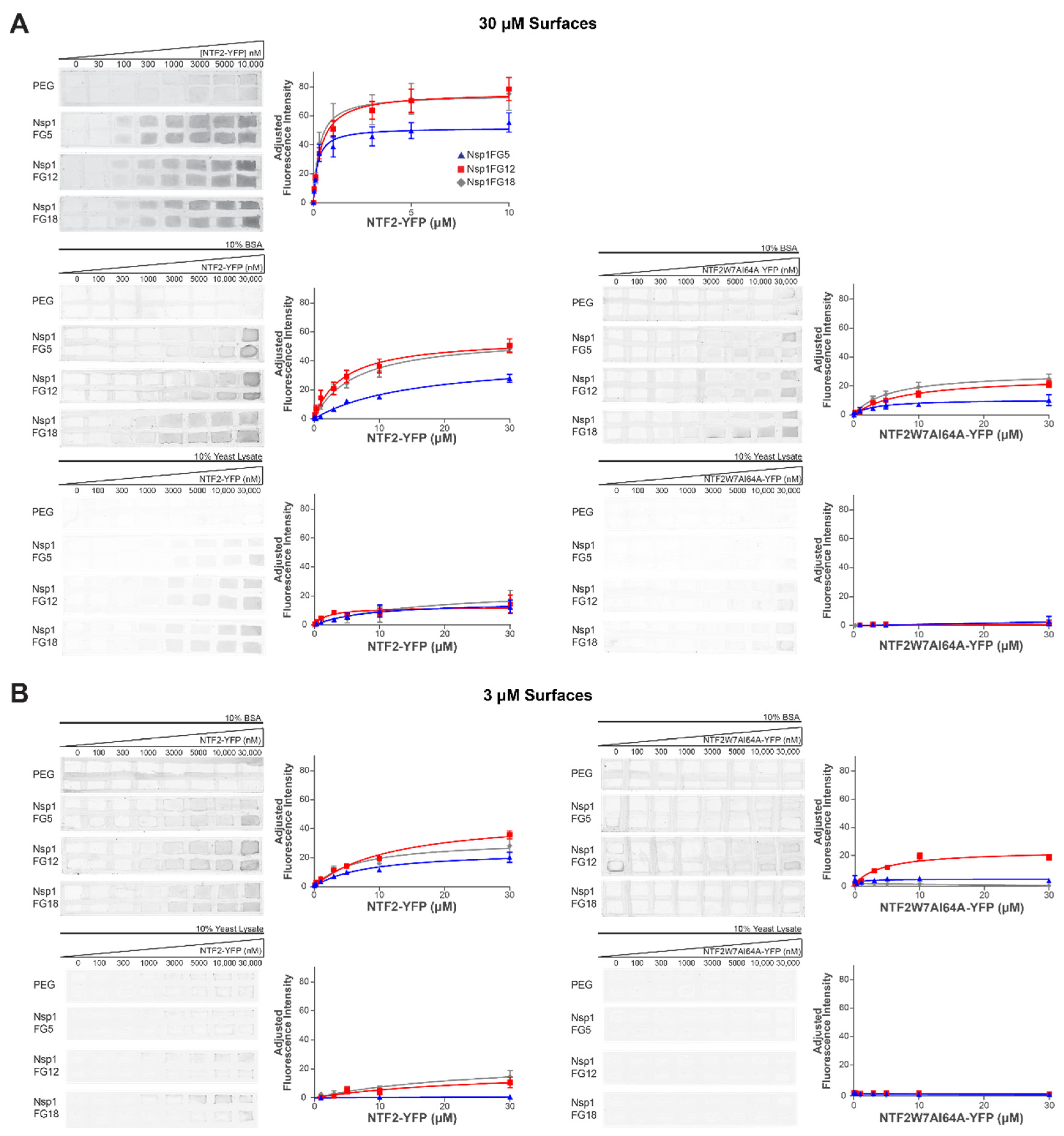 Ijms 22 10898 g002 550