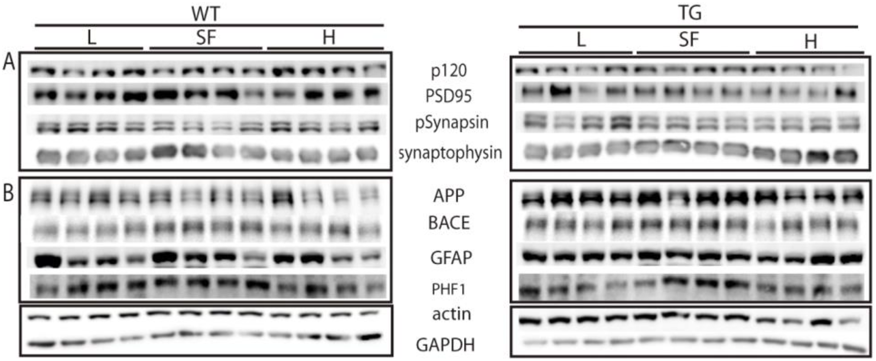 Ijms 22 10907 g008 550