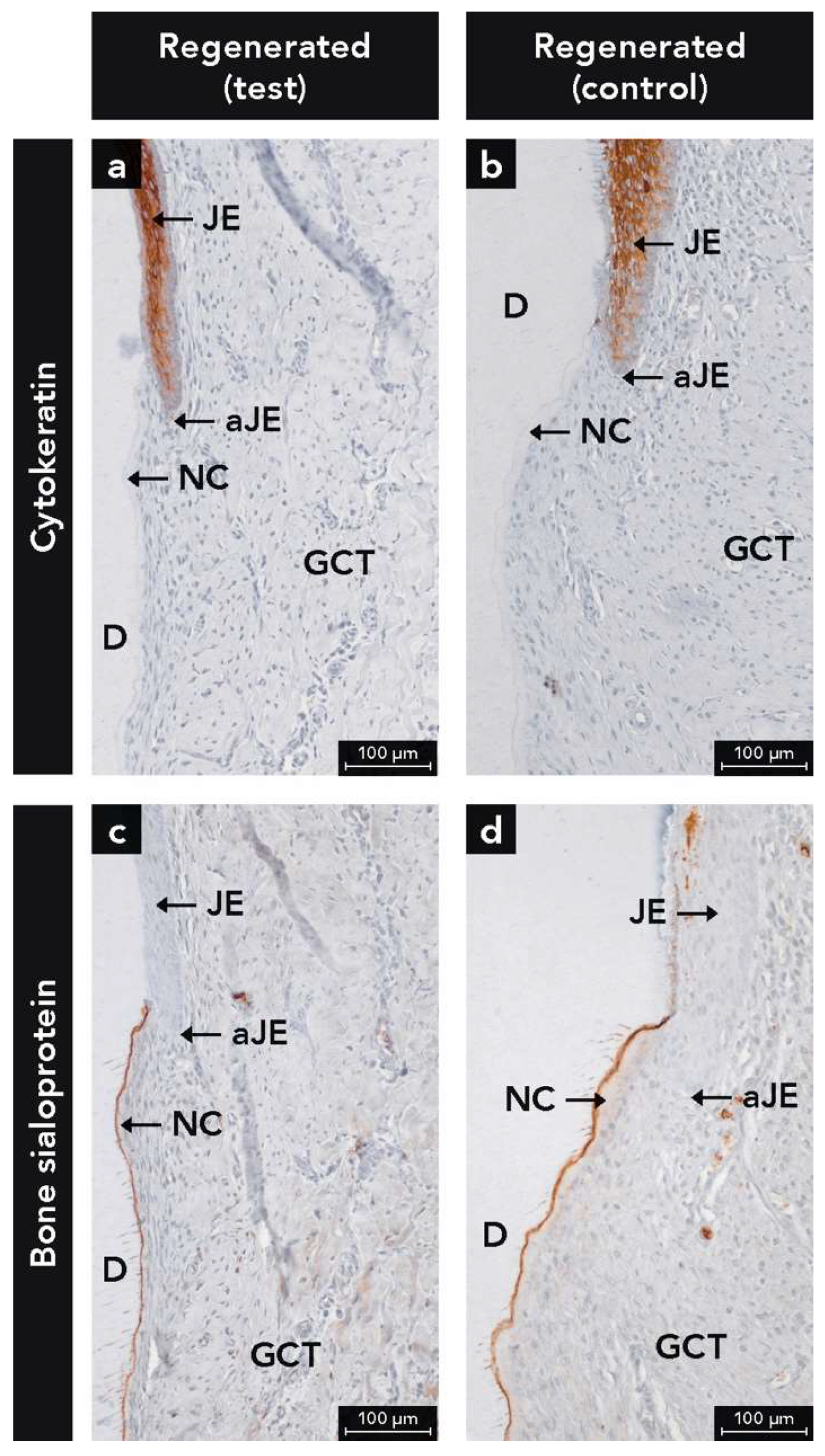 Ijms 22 10915 g002 550