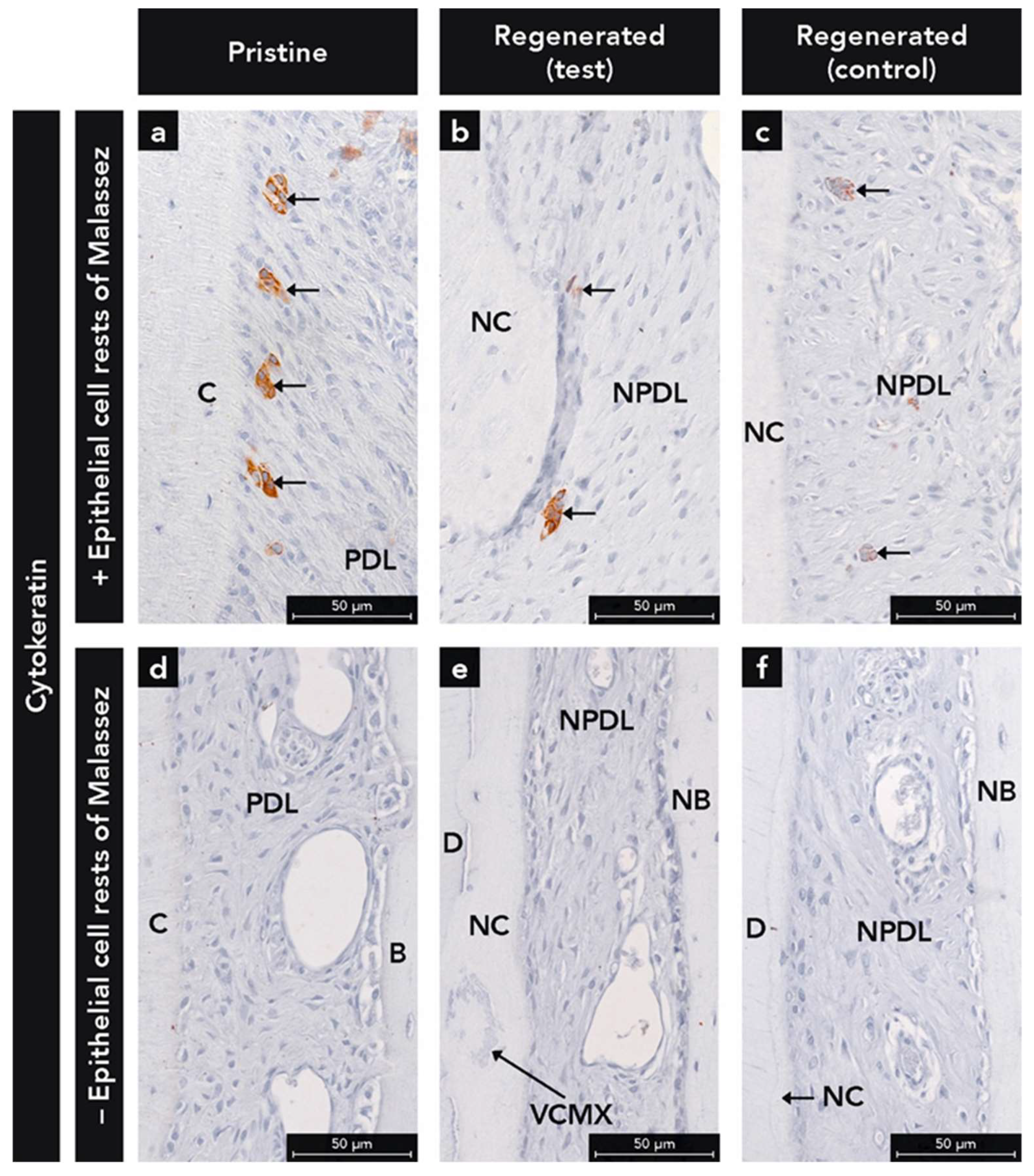 Ijms 22 10915 g003 550