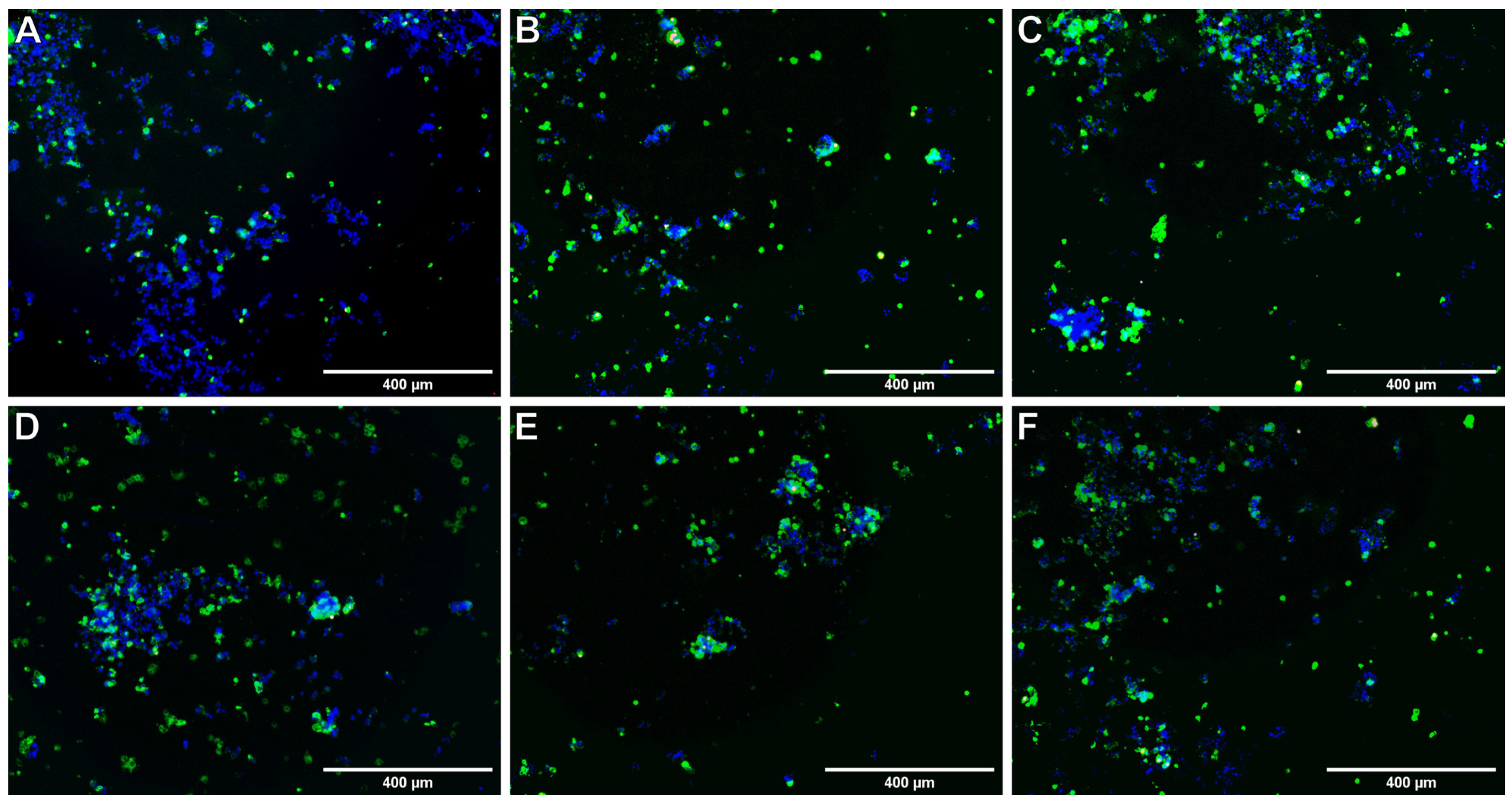 Ijms 22 10920 g005 550