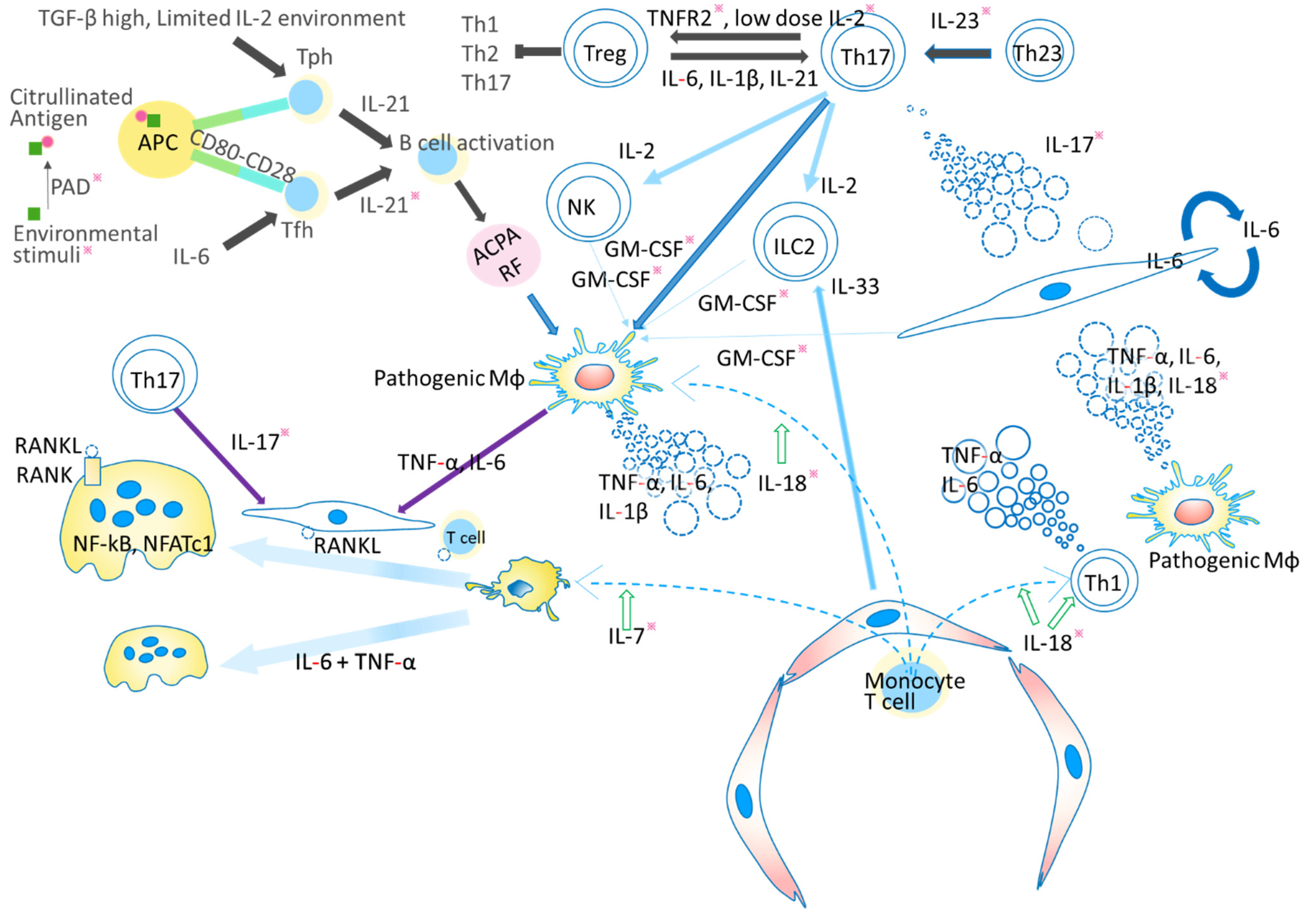 Ijms 22 10922 g001 Ijms 22 10922 g001