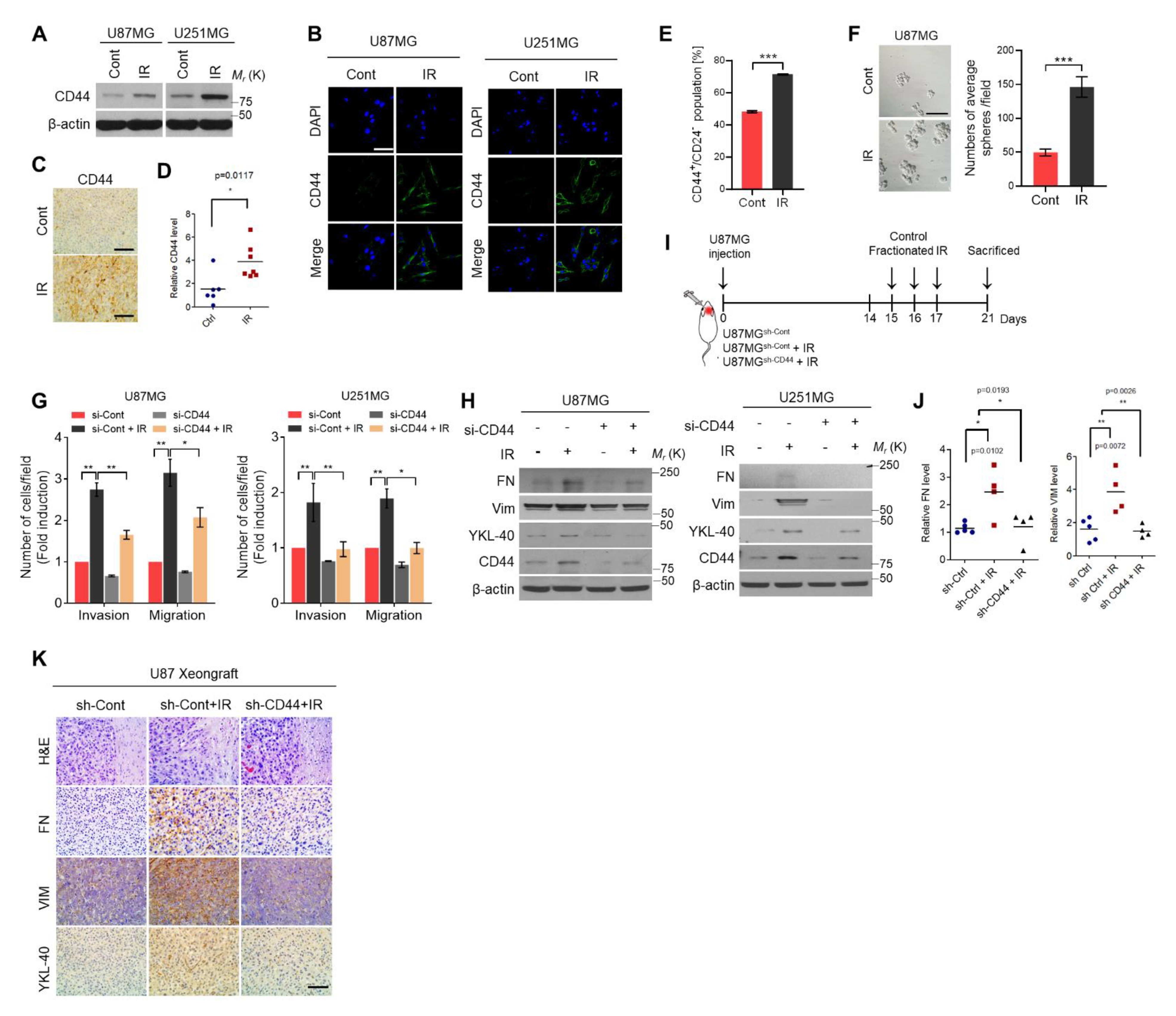 Ijms 22 10923 g001 Ijms 22 10923 g001