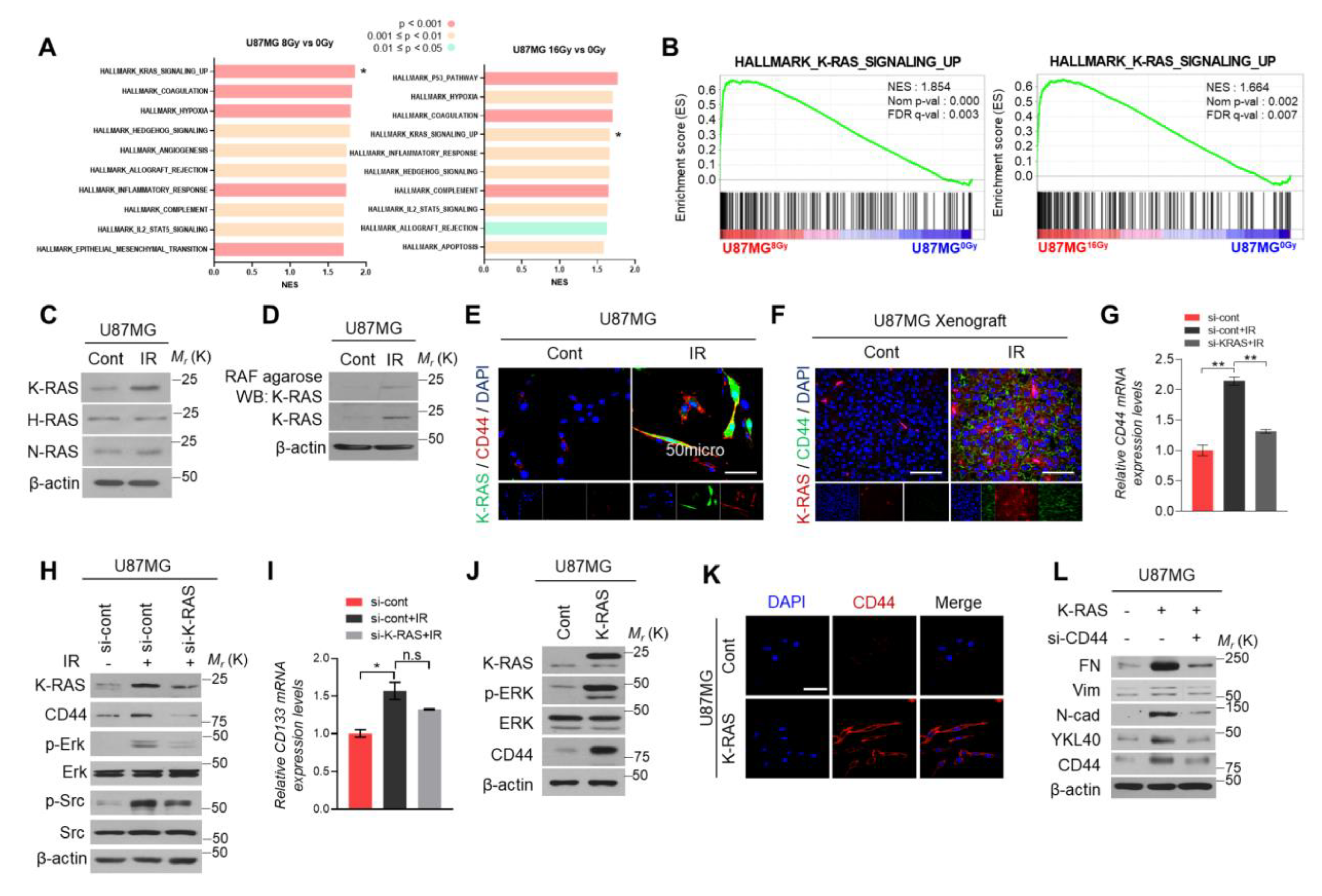 Ijms 22 10923 g002 Ijms 22 10923 g002