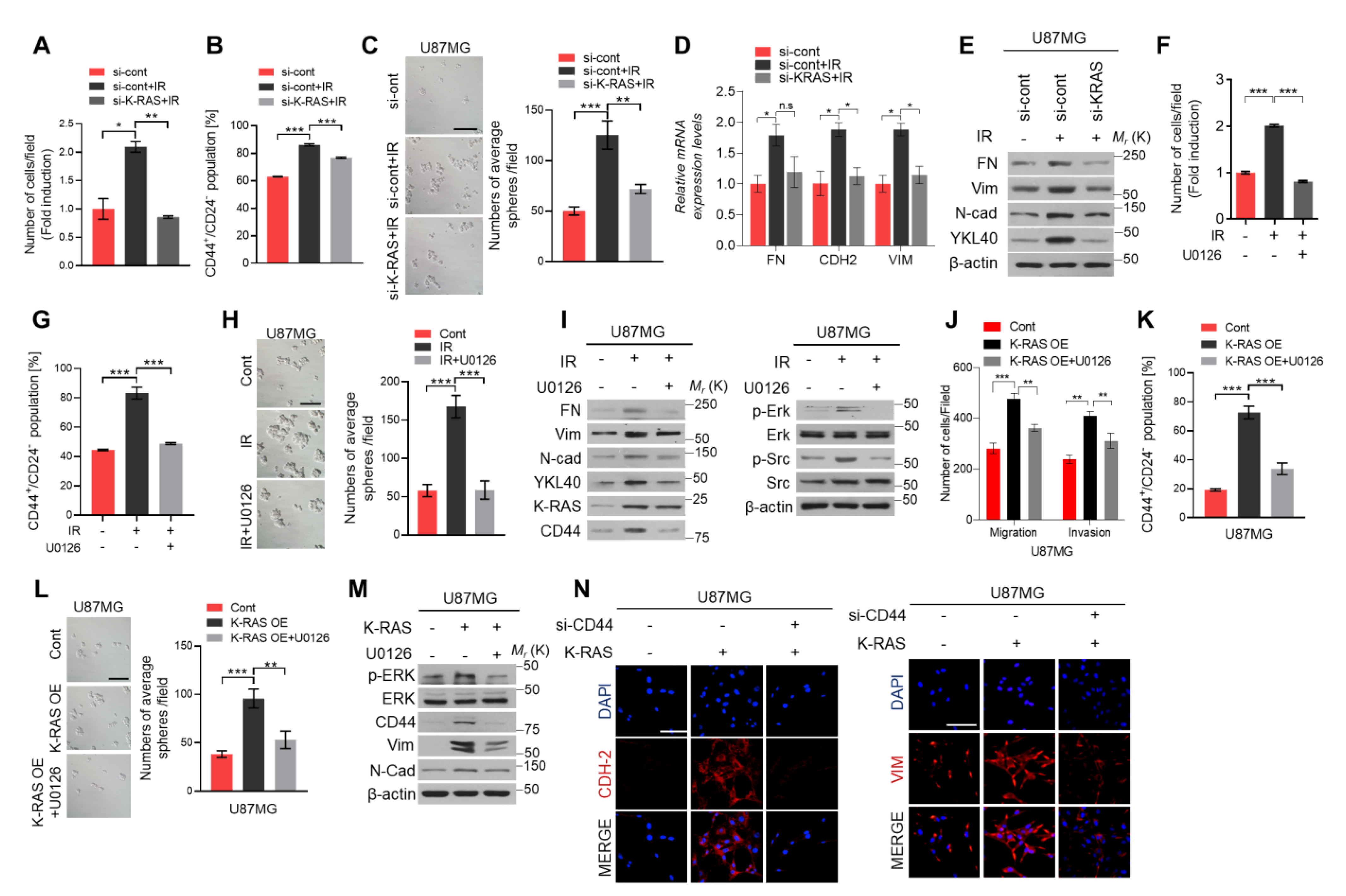 Ijms 22 10923 g003 Ijms 22 10923 g003