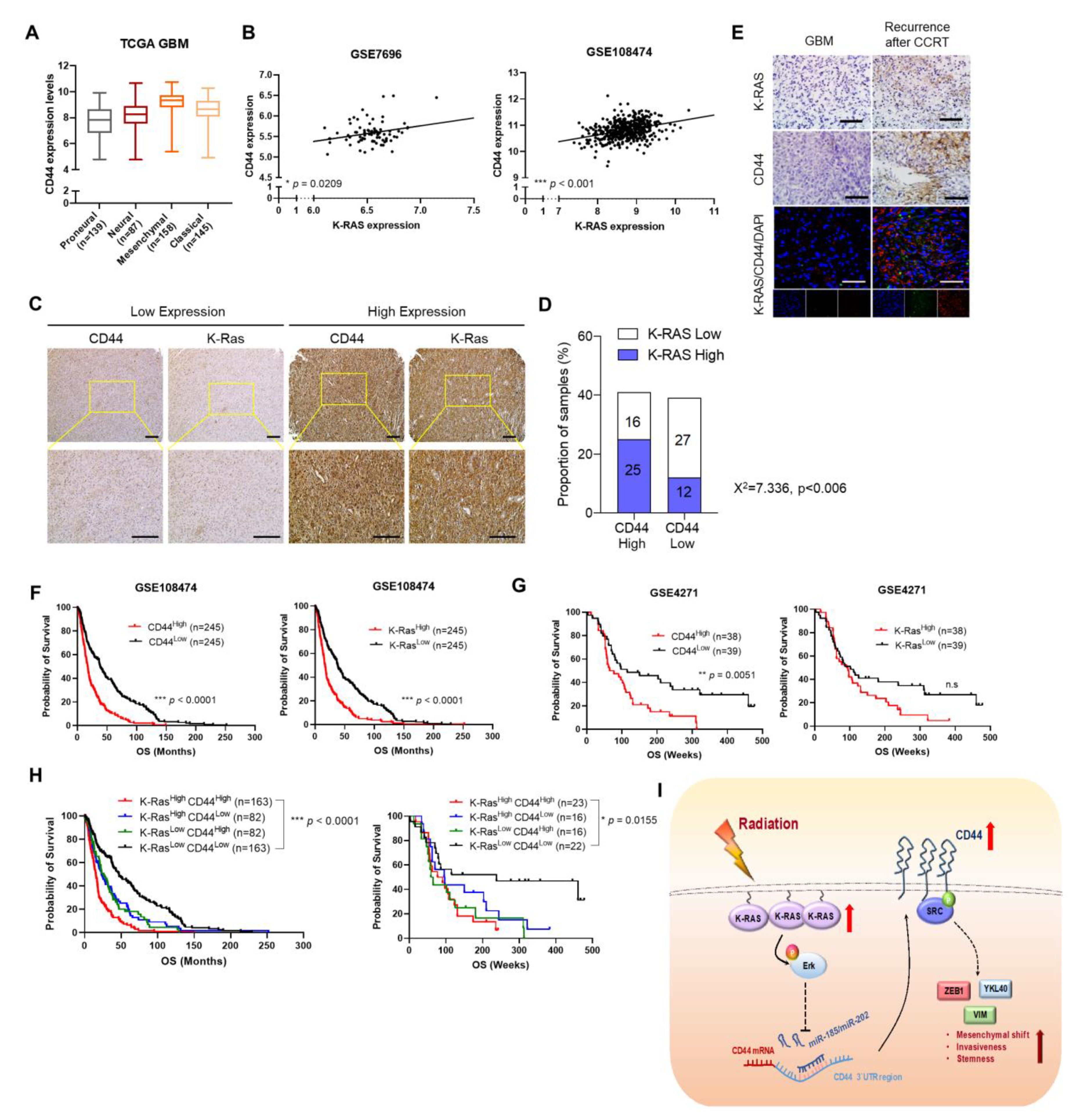 Ijms 22 10923 g005 Ijms 22 10923 g005