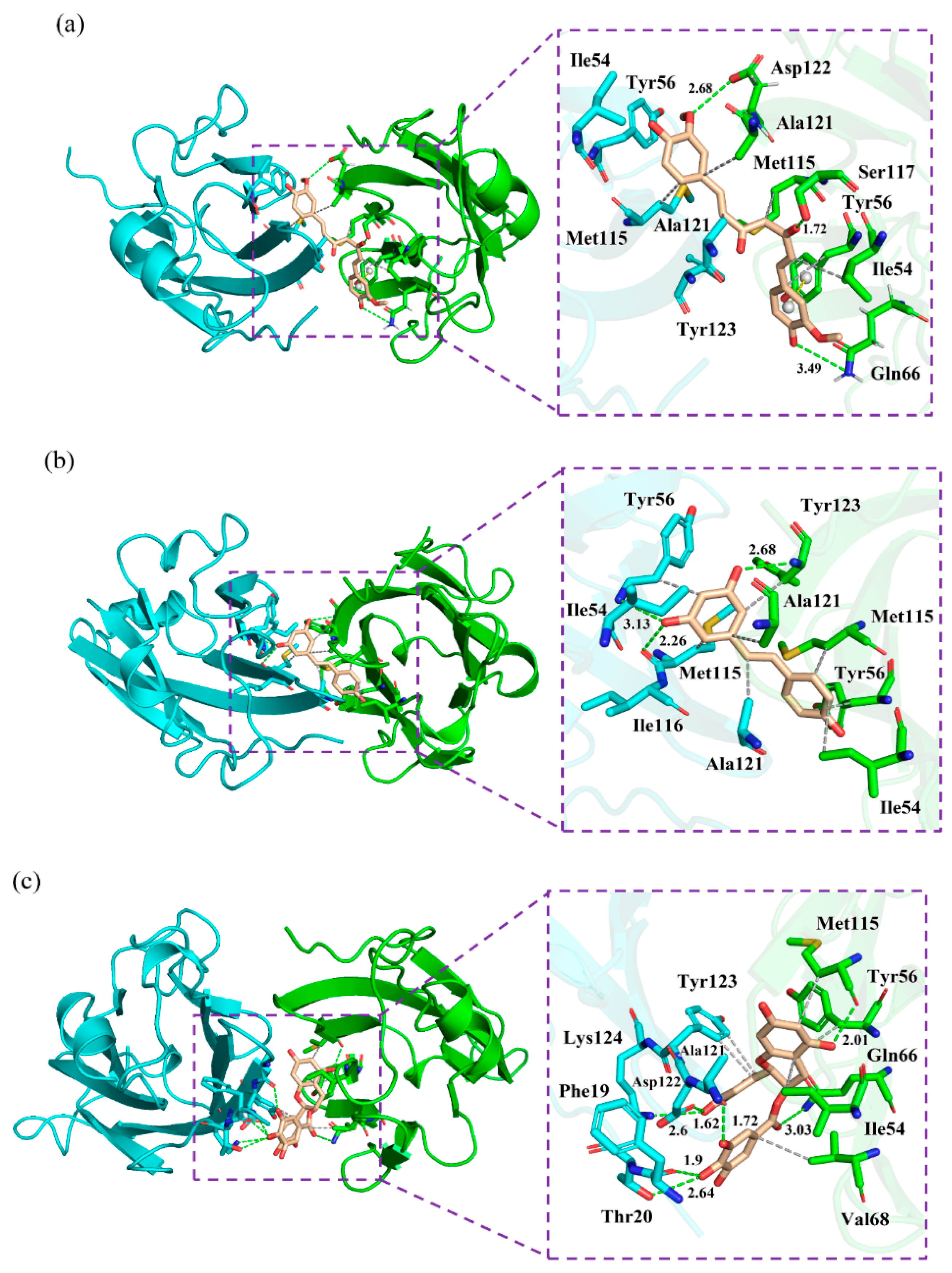 Ijms 22 10924 g006 550