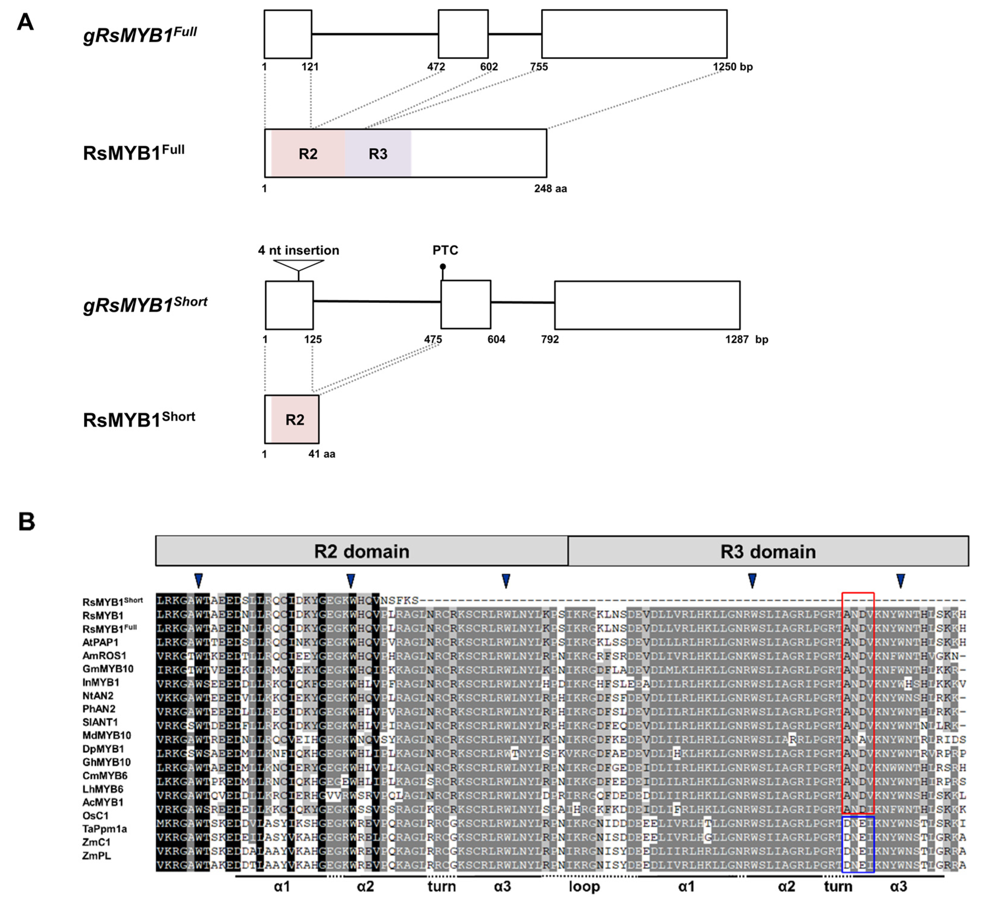 Ijms 22 10927 g003 550