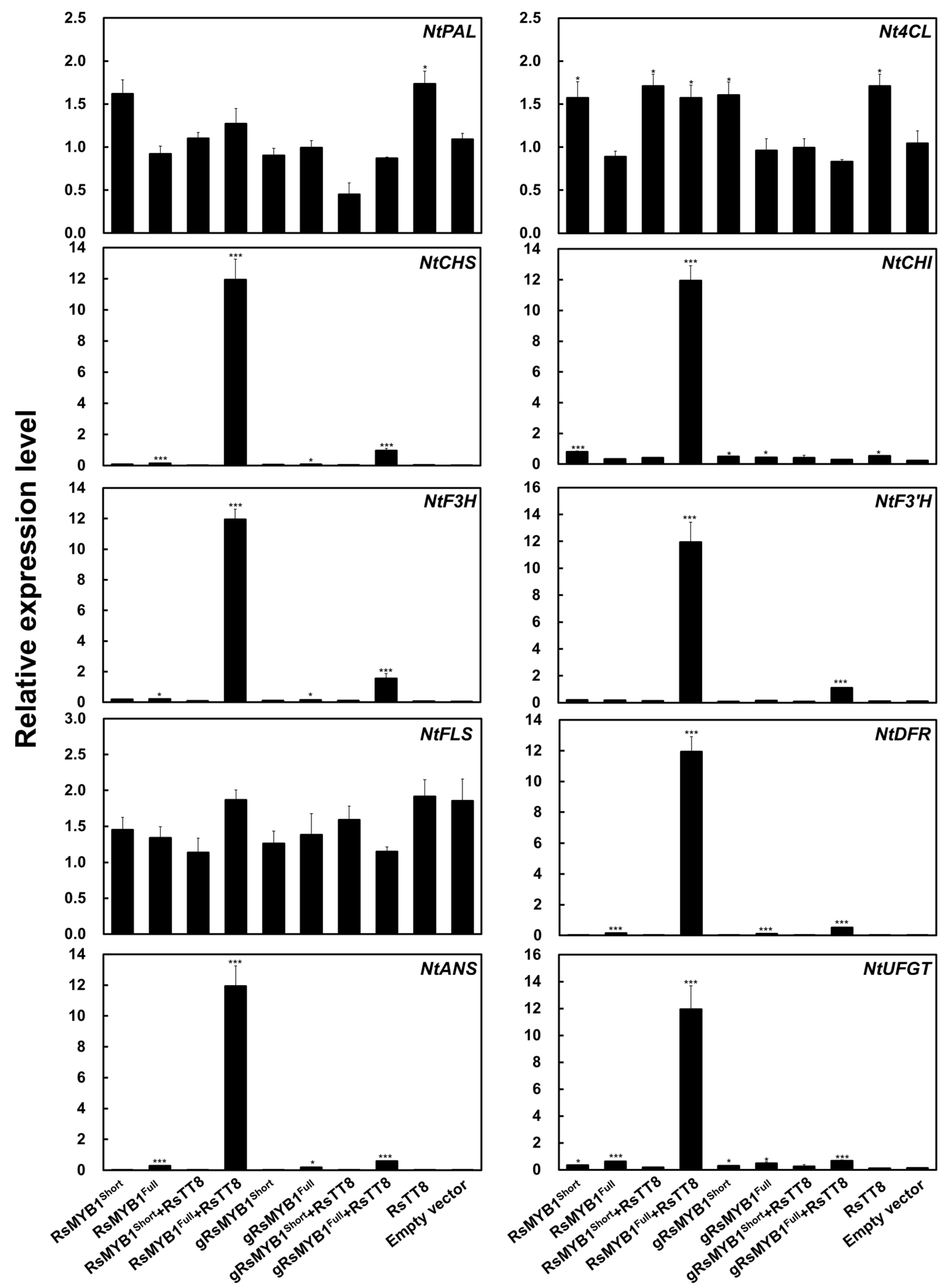 Ijms 22 10927 g008 550