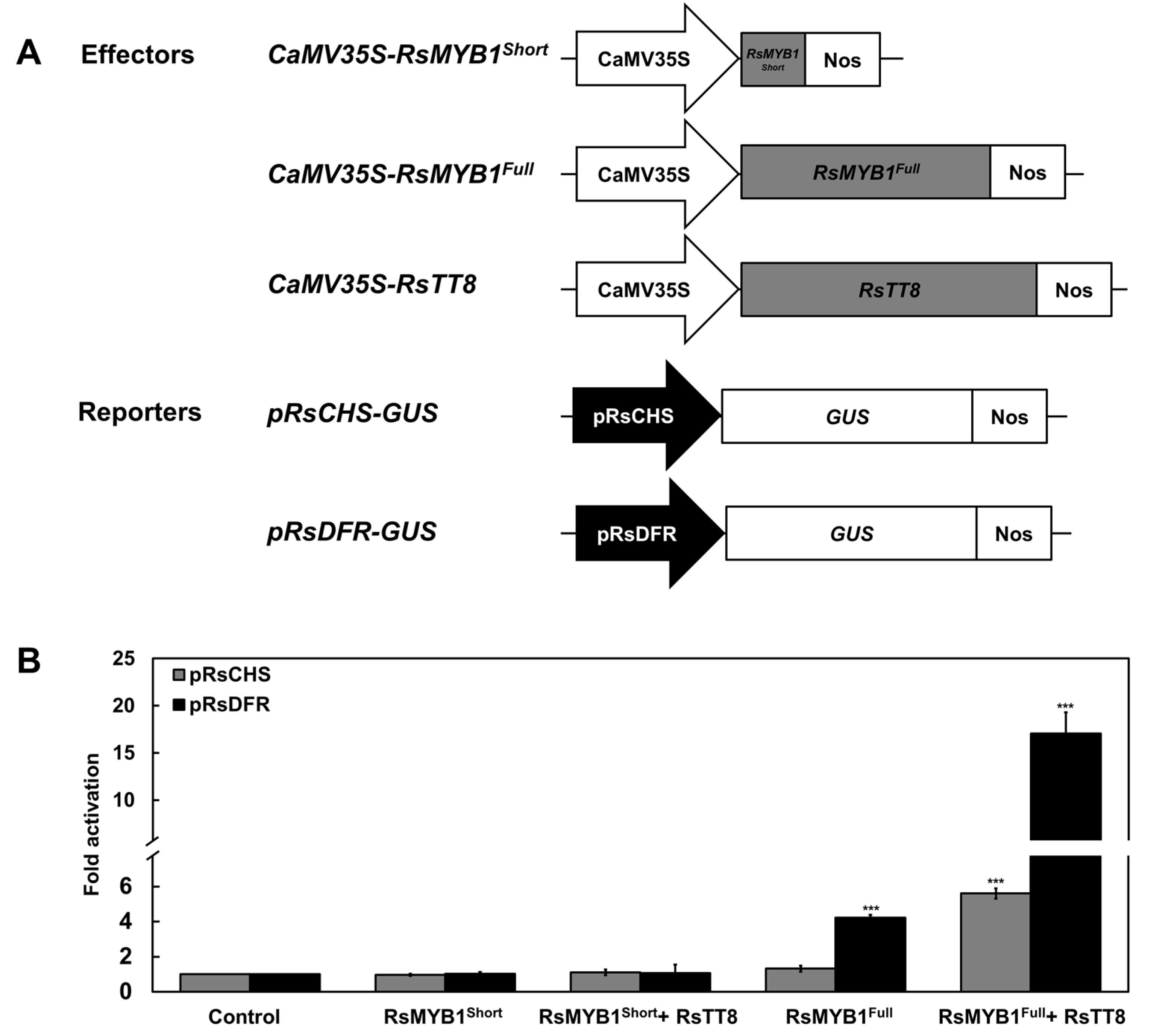 Ijms 22 10927 g009 550