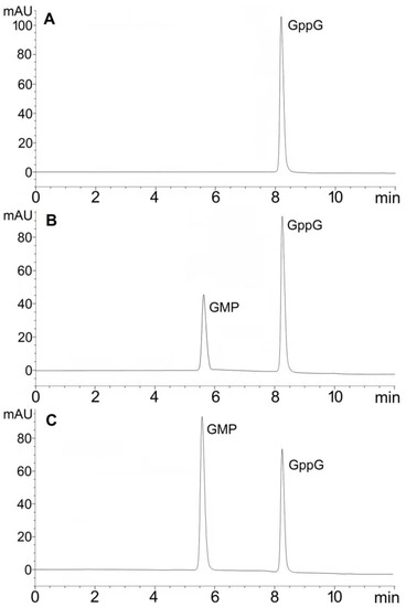 Ijms Free Full Text Insight Into The Binding And Hydrolytic Preferences Of Hnudt16 Based On Nucleotide Diphosphate Substrates Html