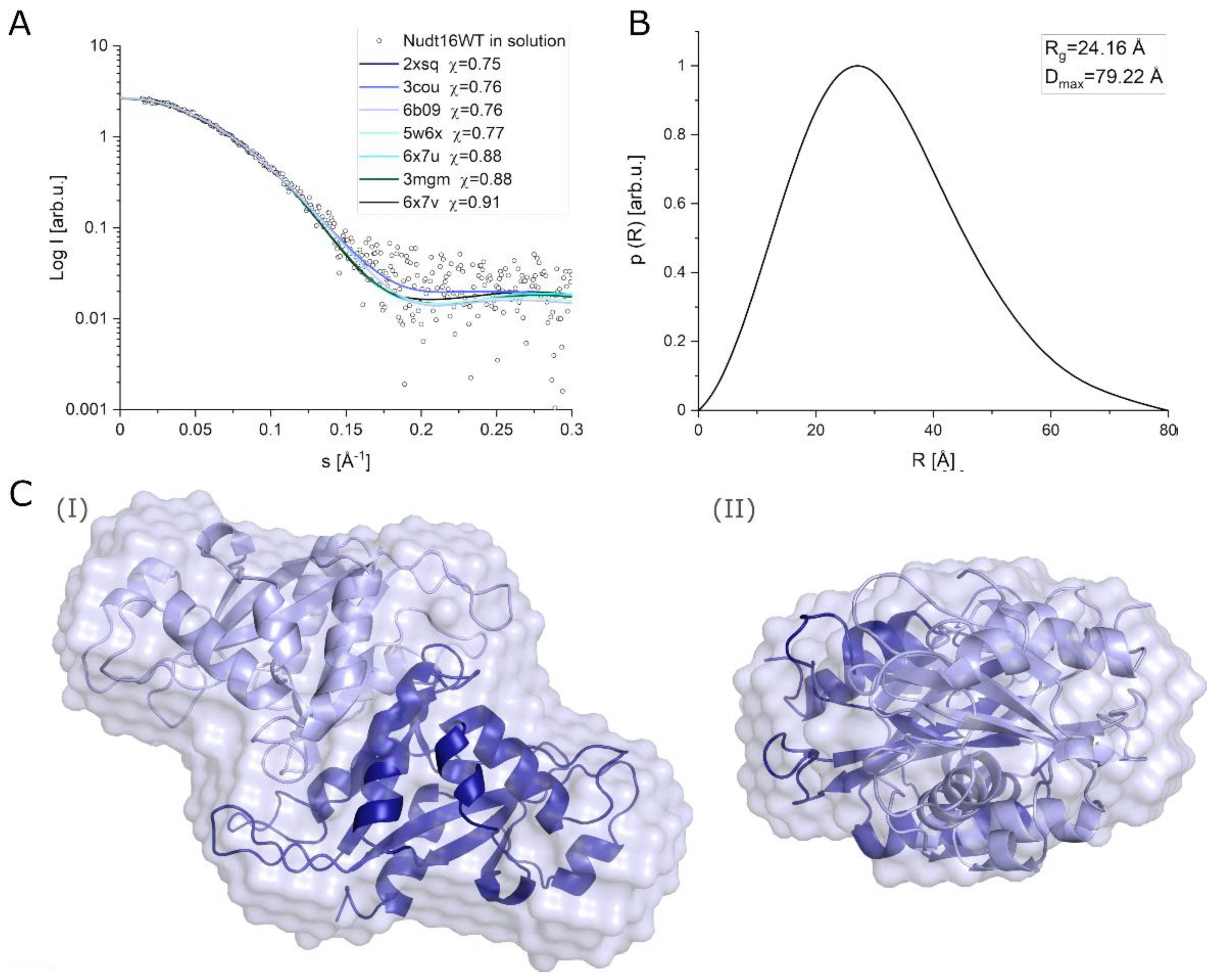 Ijms 22 10929 g005 Ijms 22 10929 g005