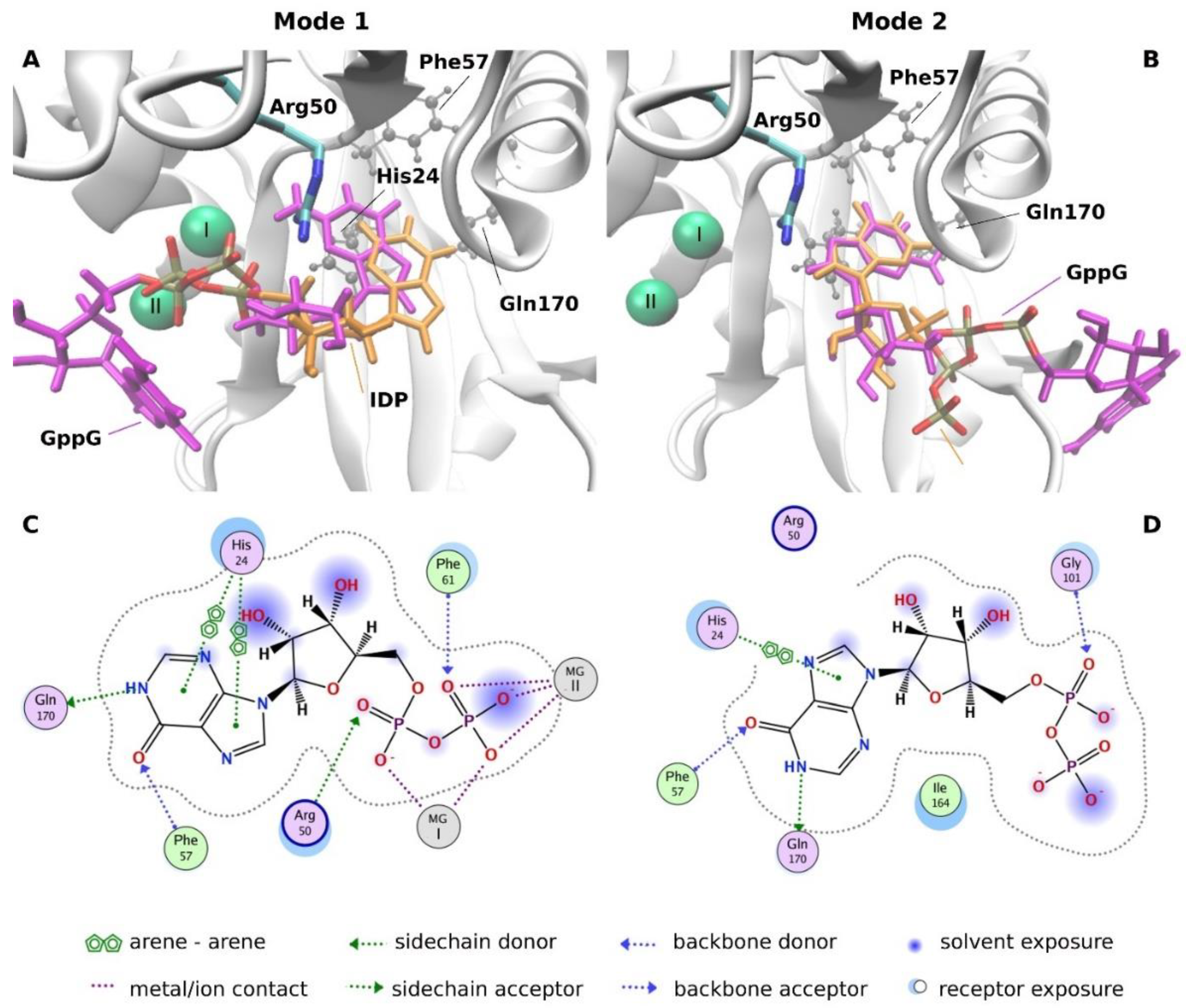 Ijms 22 10929 g006 Ijms 22 10929 g006