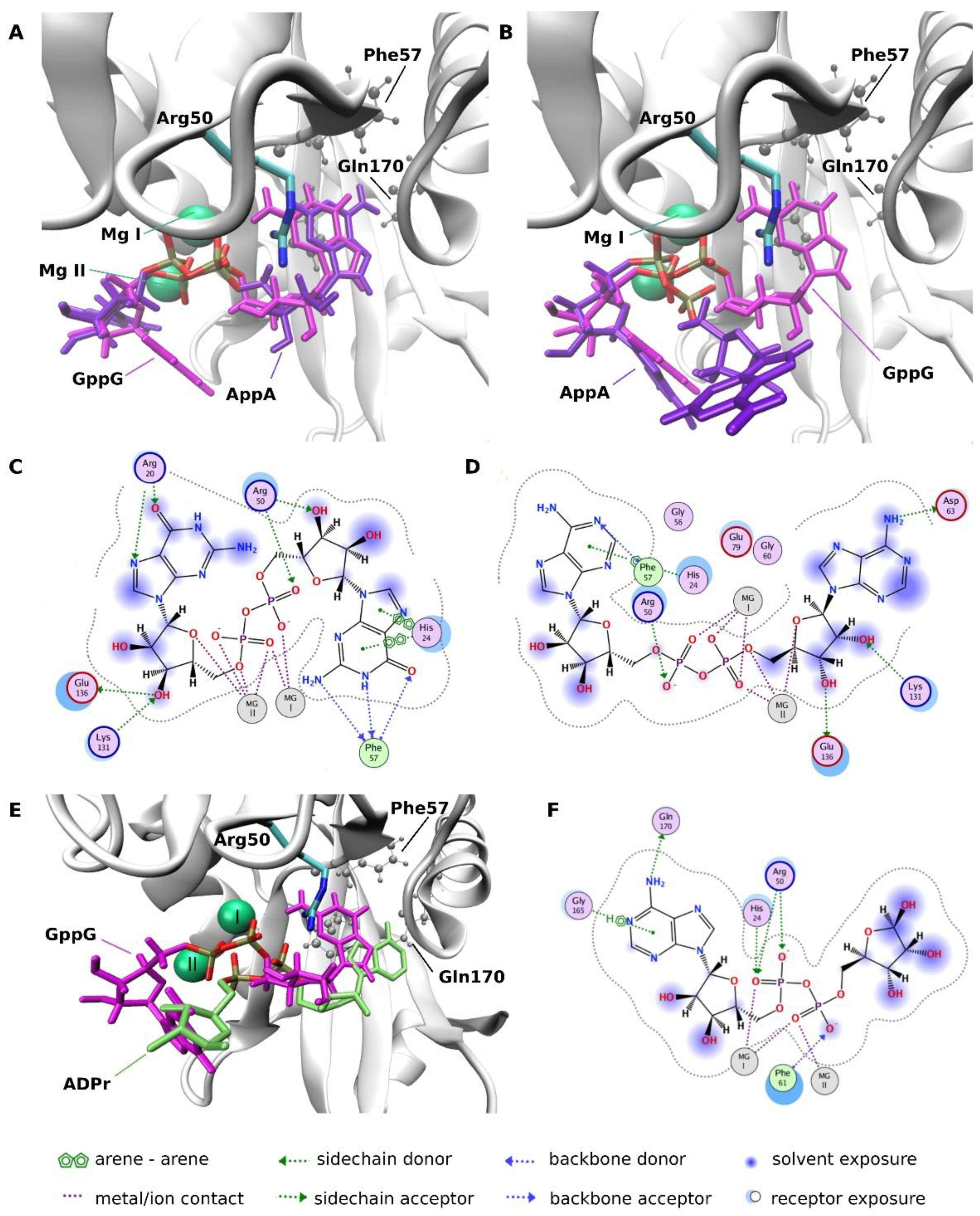 Ijms 22 10929 g007 Ijms 22 10929 g007