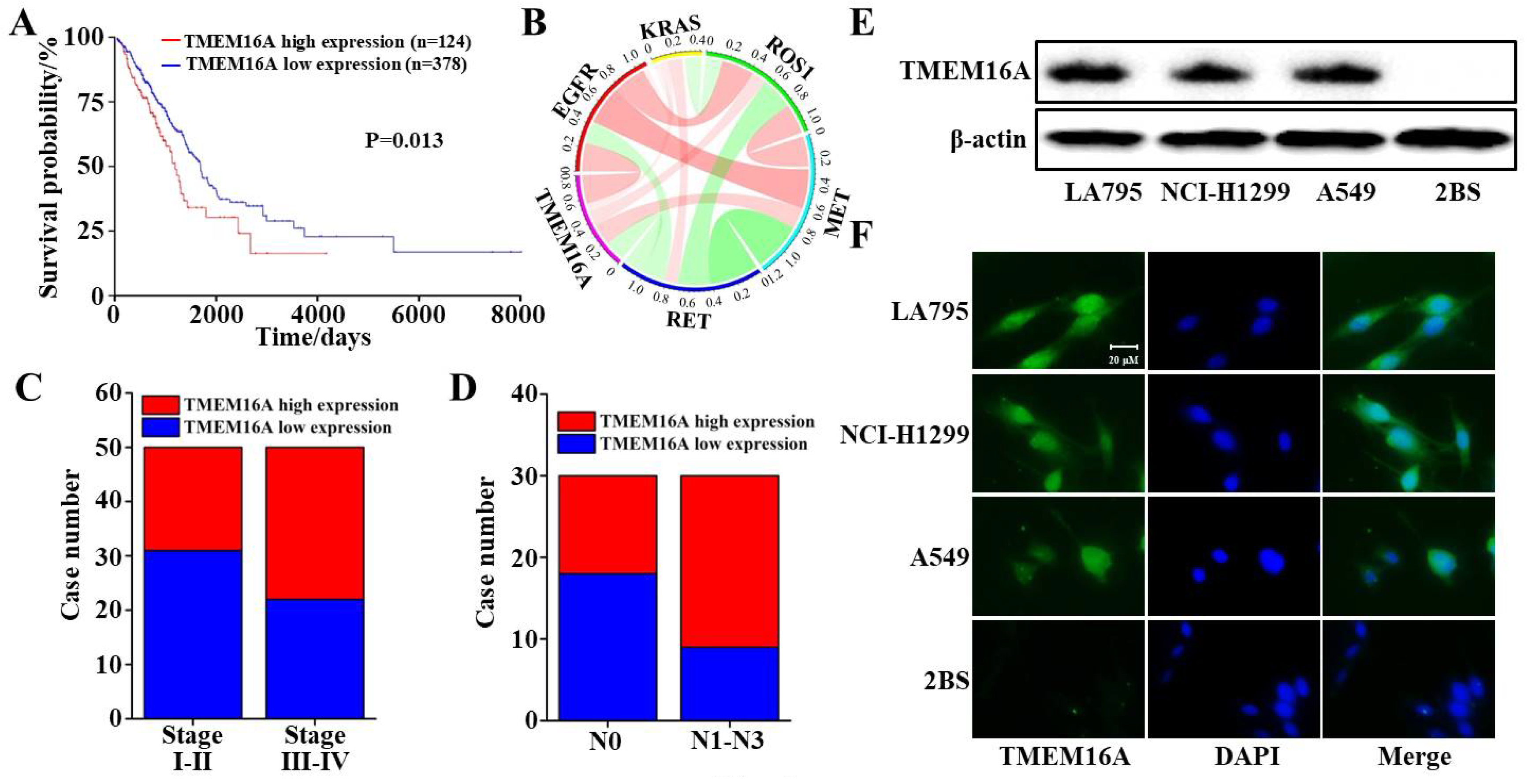 Ijms 22 10930 g001 550