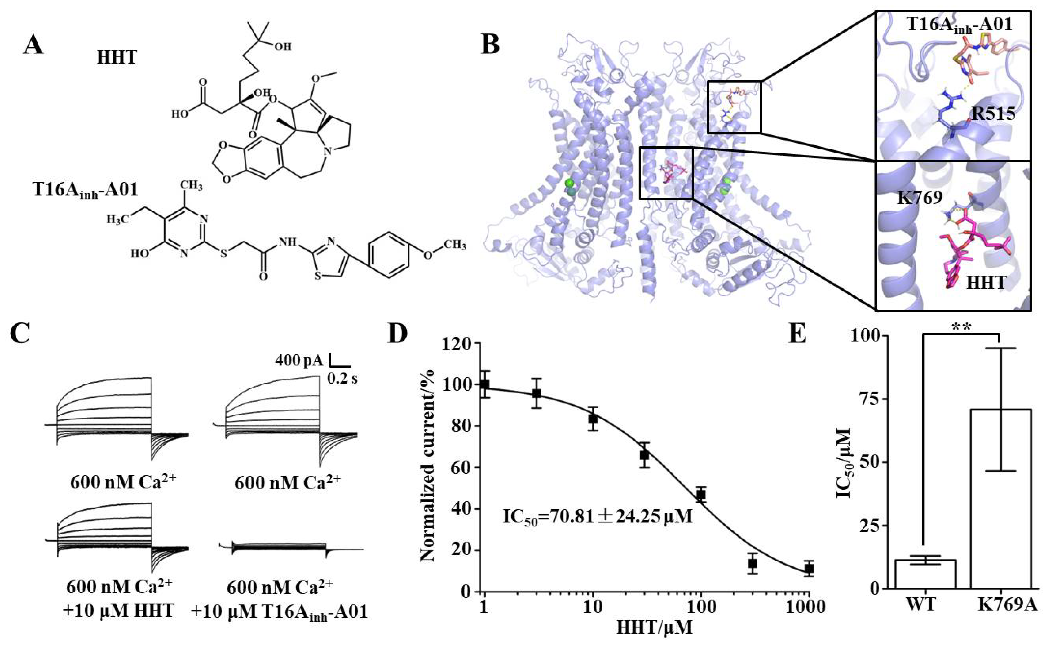 Ijms 22 10930 g003 550