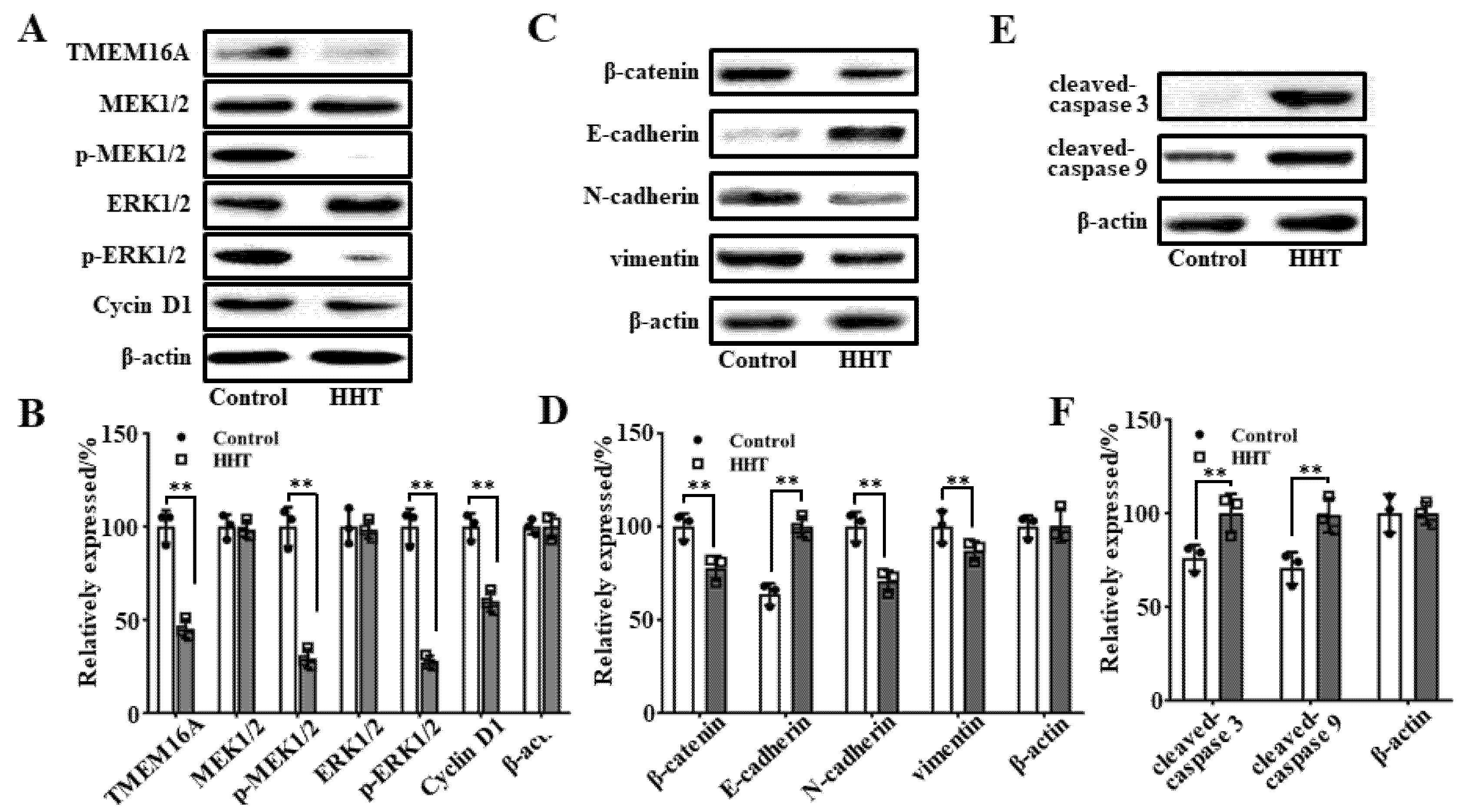 Ijms 22 10930 g008 550
