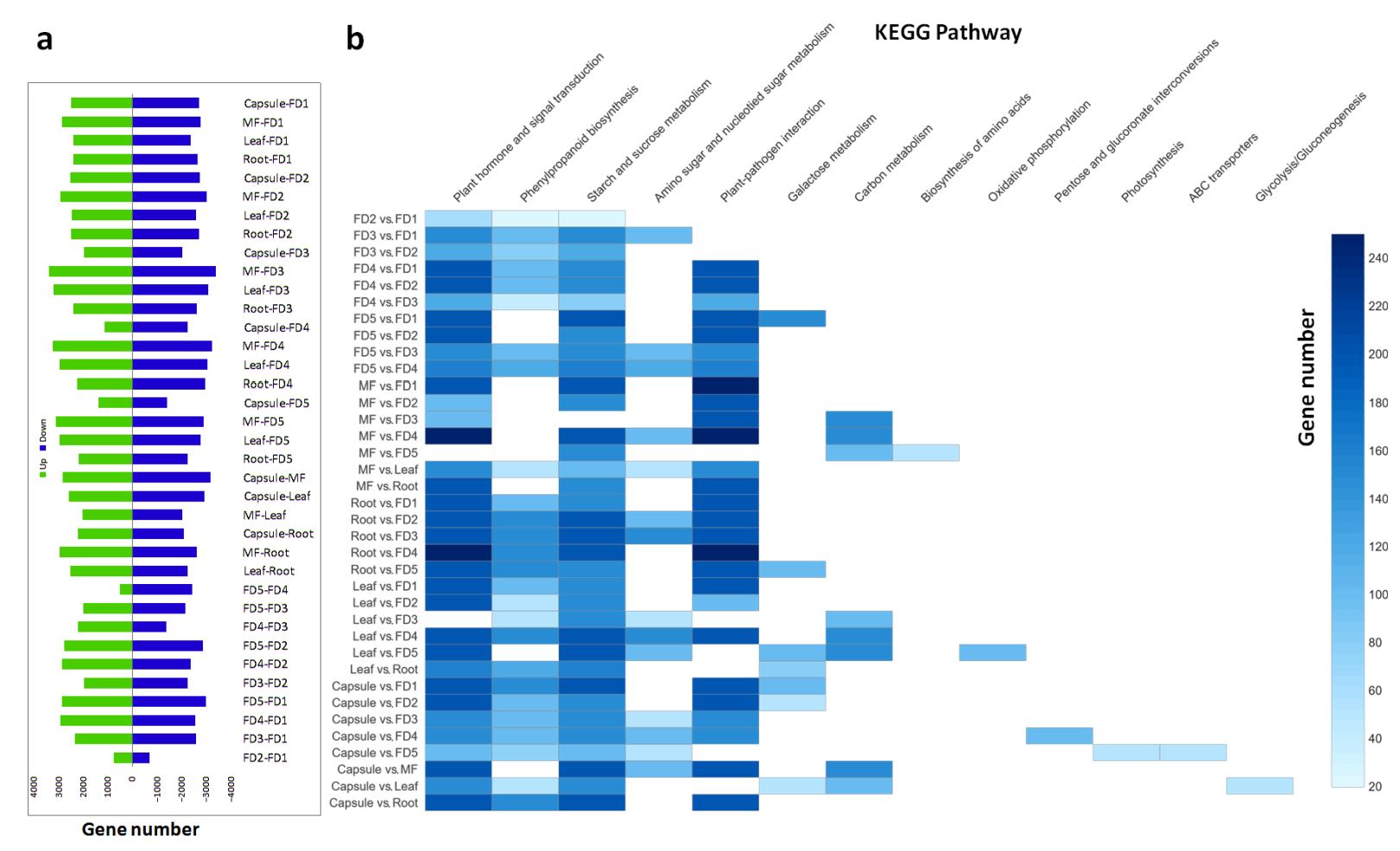 Ijms 22 10935 g002 550