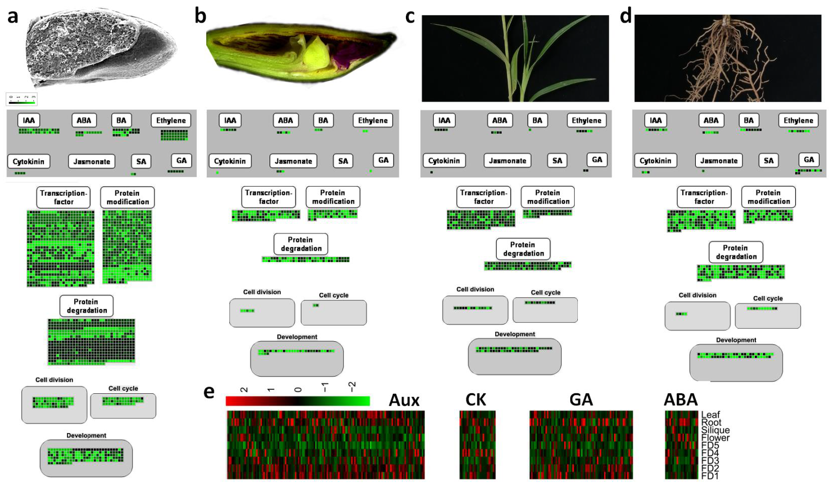 Ijms 22 10935 g006 550