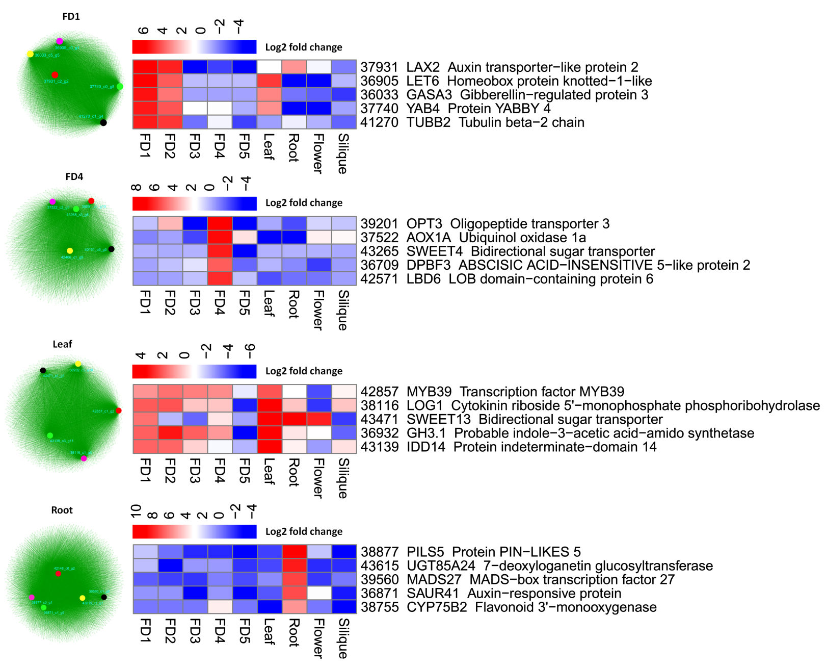 Ijms 22 10935 g007 550