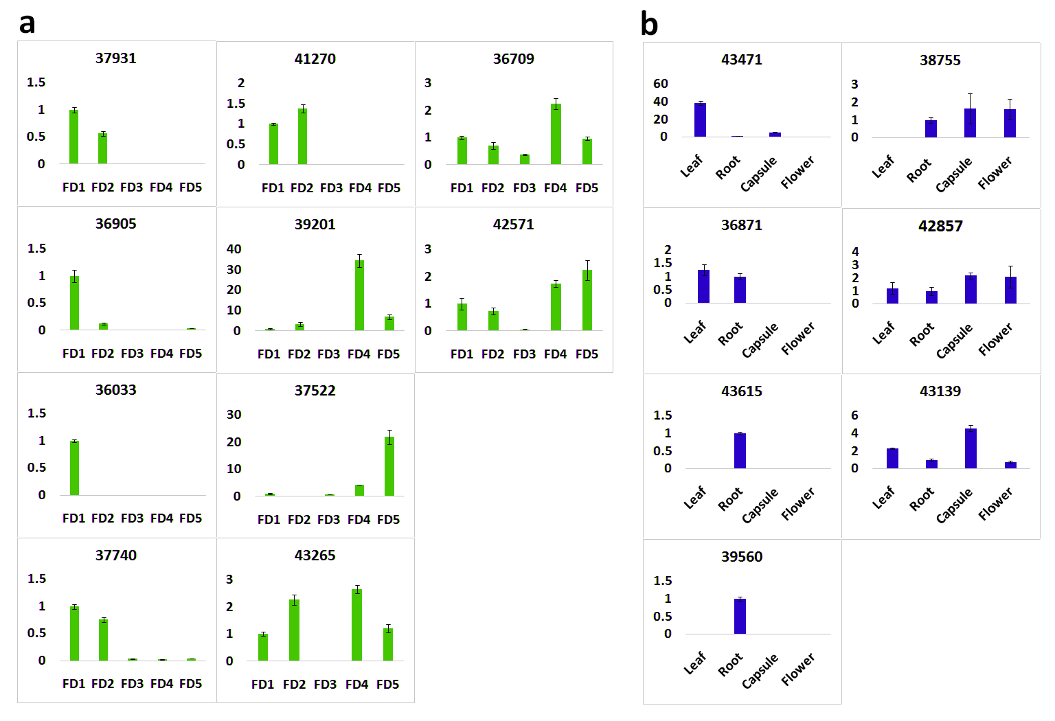 Ijms 22 10935 g008 550