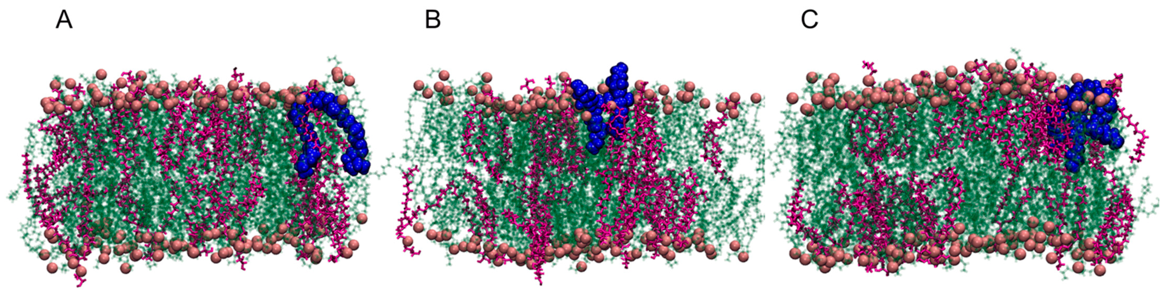 Ijms 22 10939 g002 Ijms 22 10939 g002