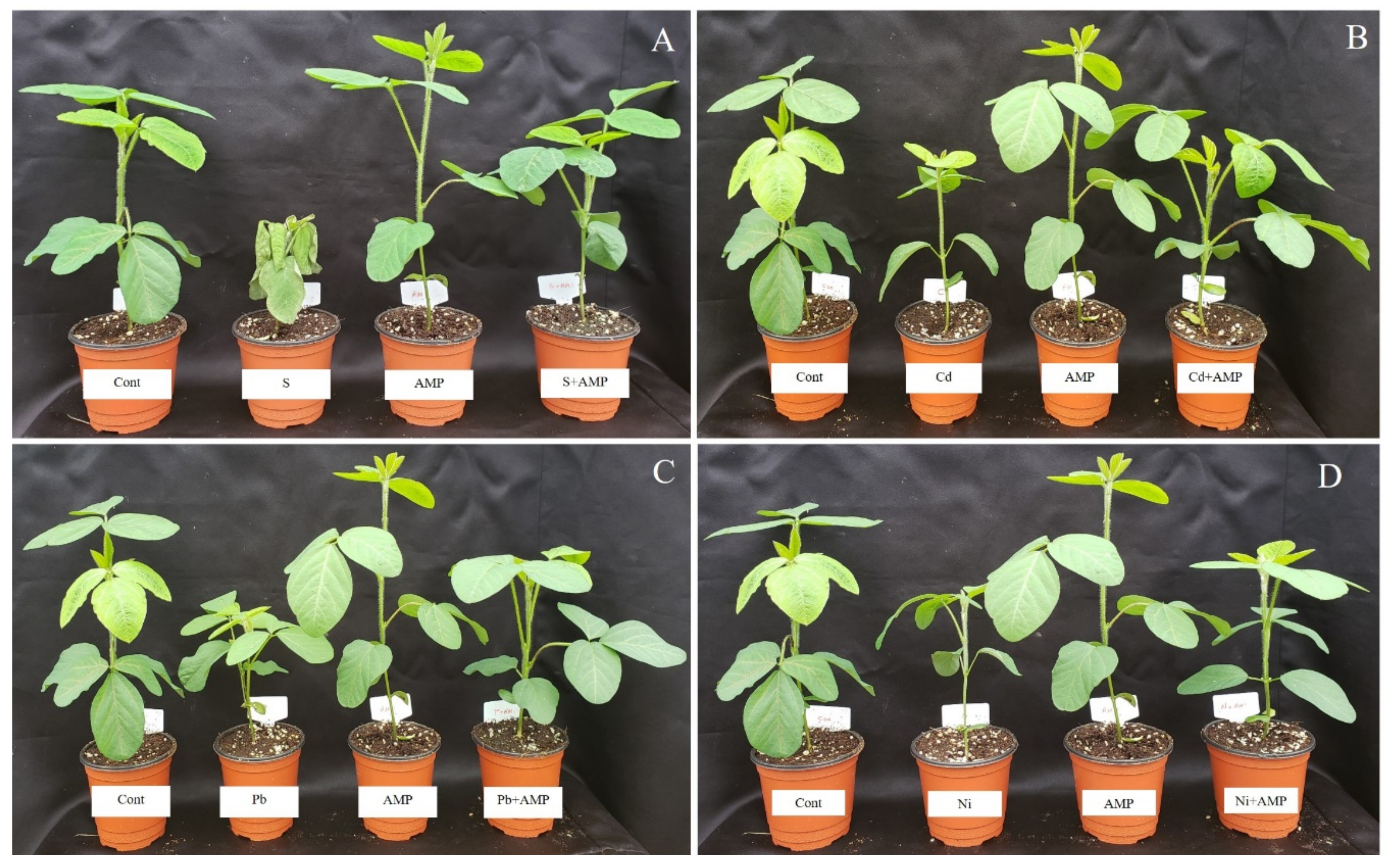 Ijms 22 10943 g001 550