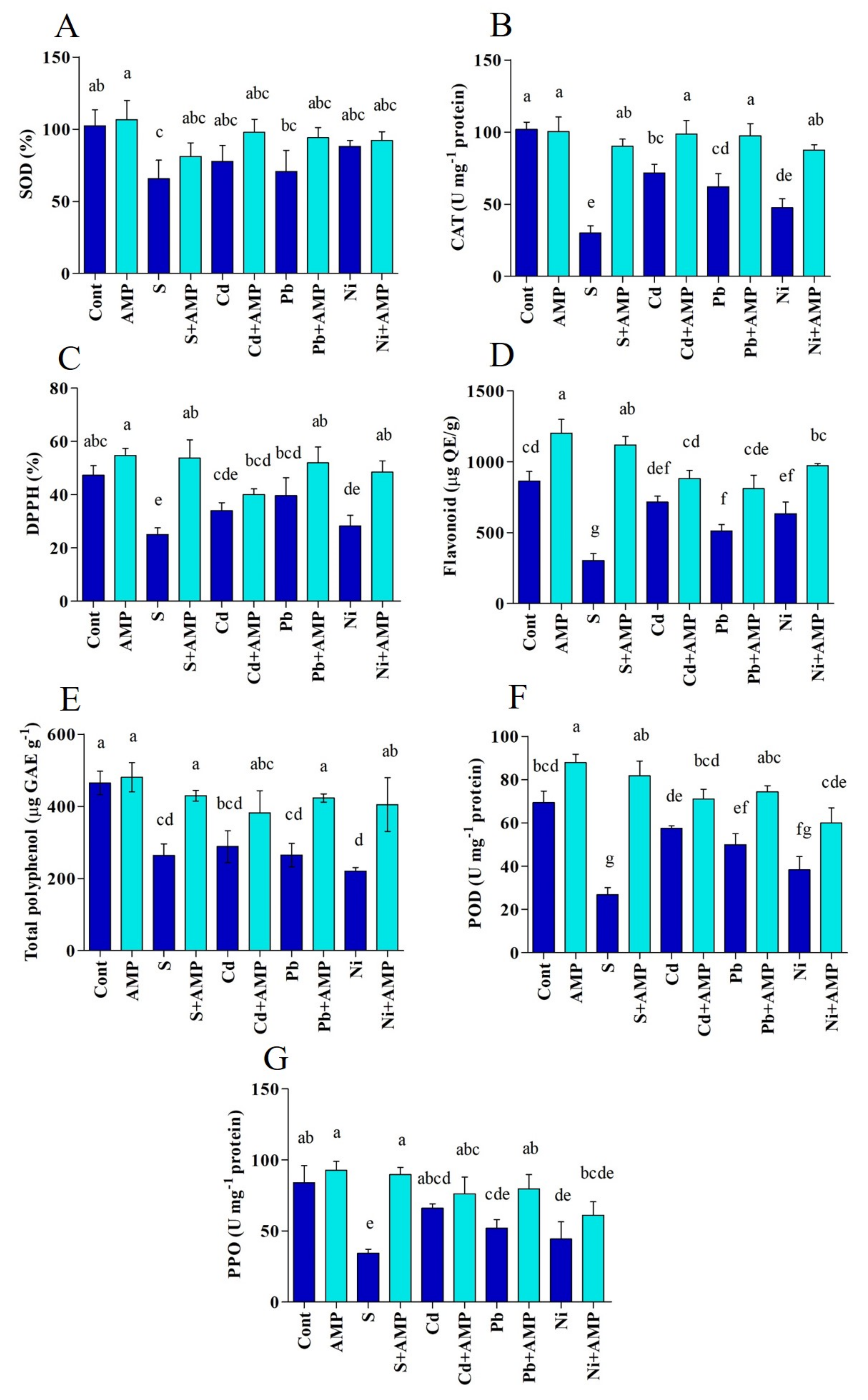 Ijms 22 10943 g005 550