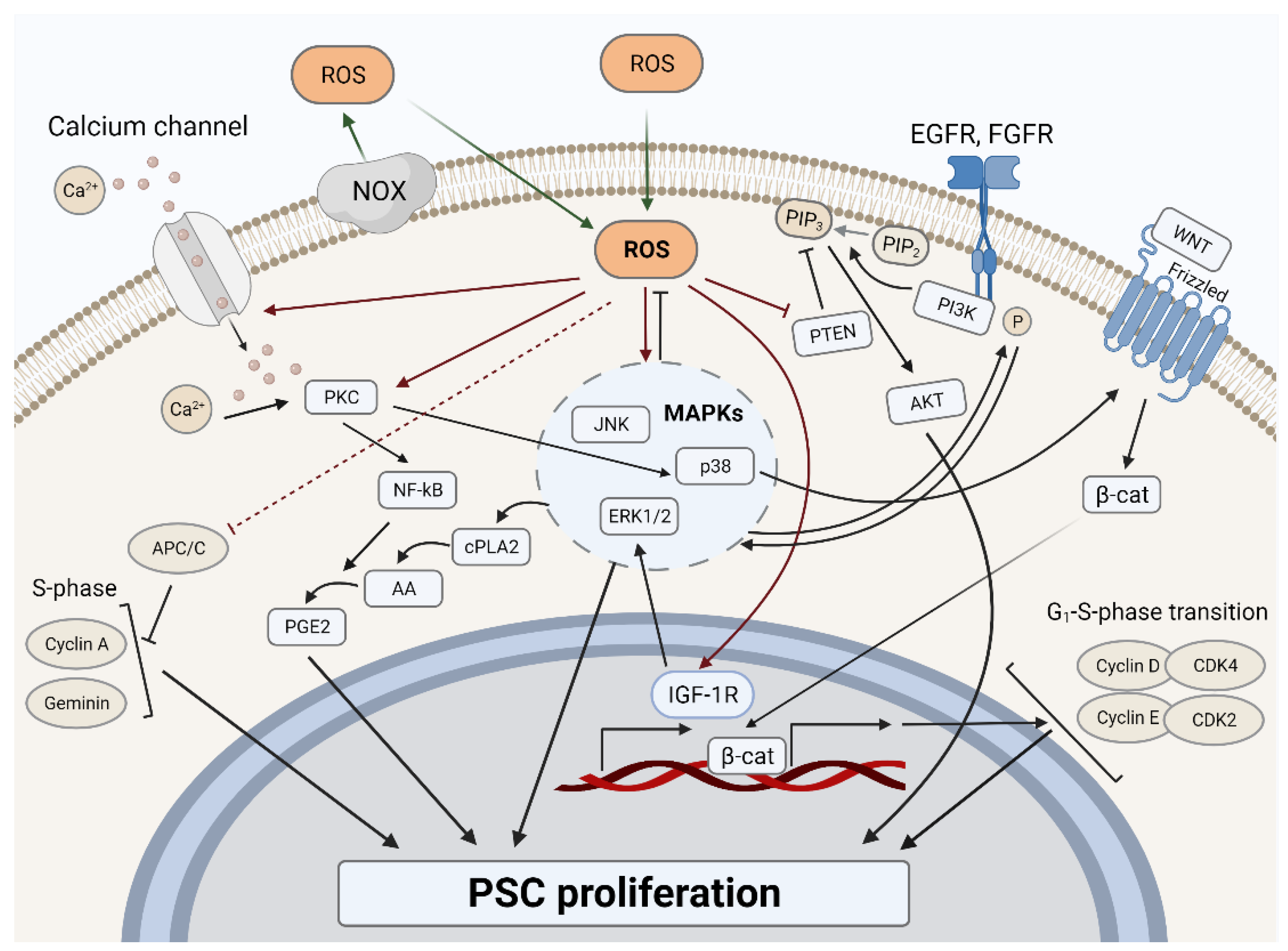 Ijms 22 10946 g002 550