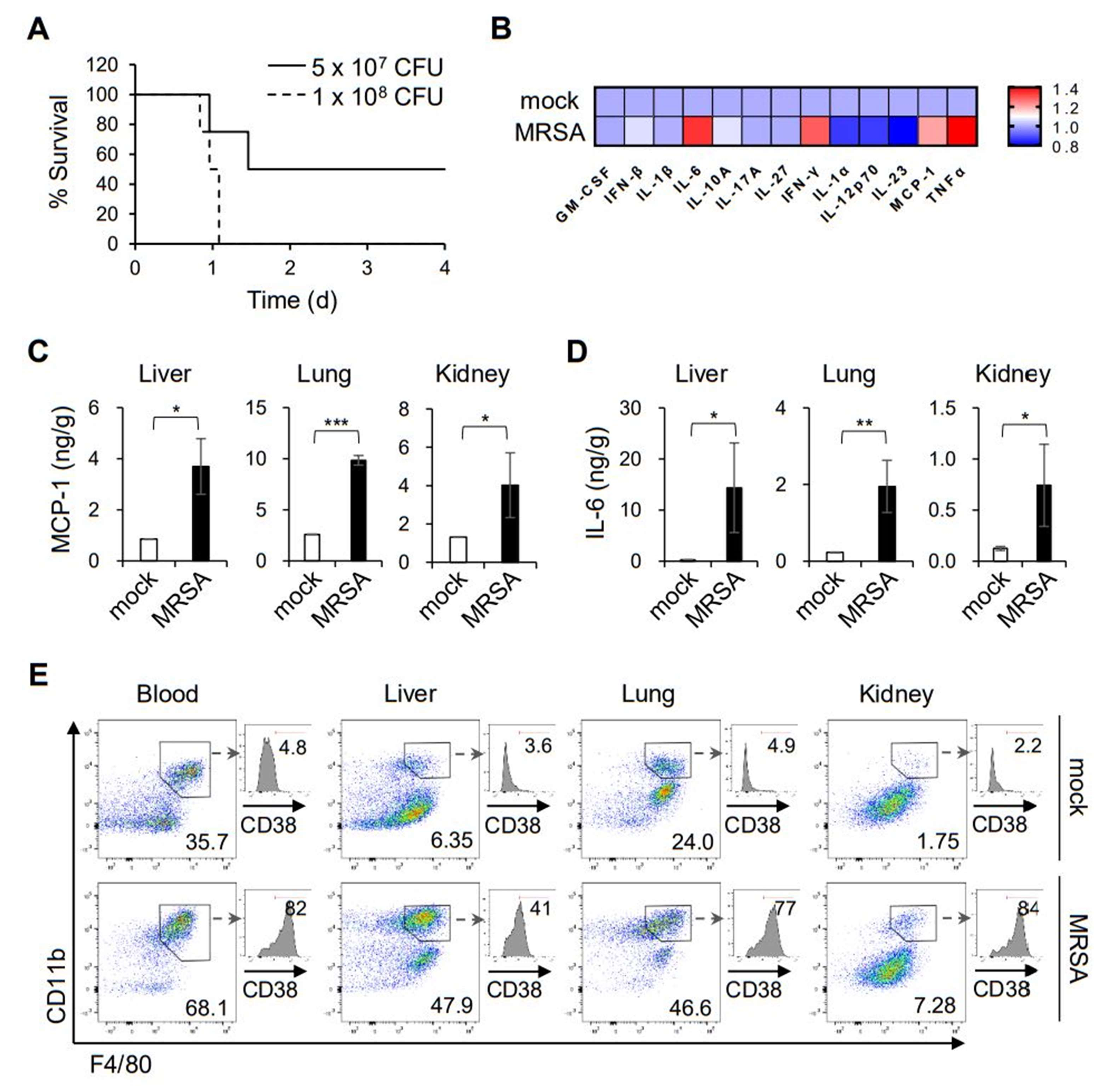 Ijms 22 10950 g001 Ijms 22 10950 g001