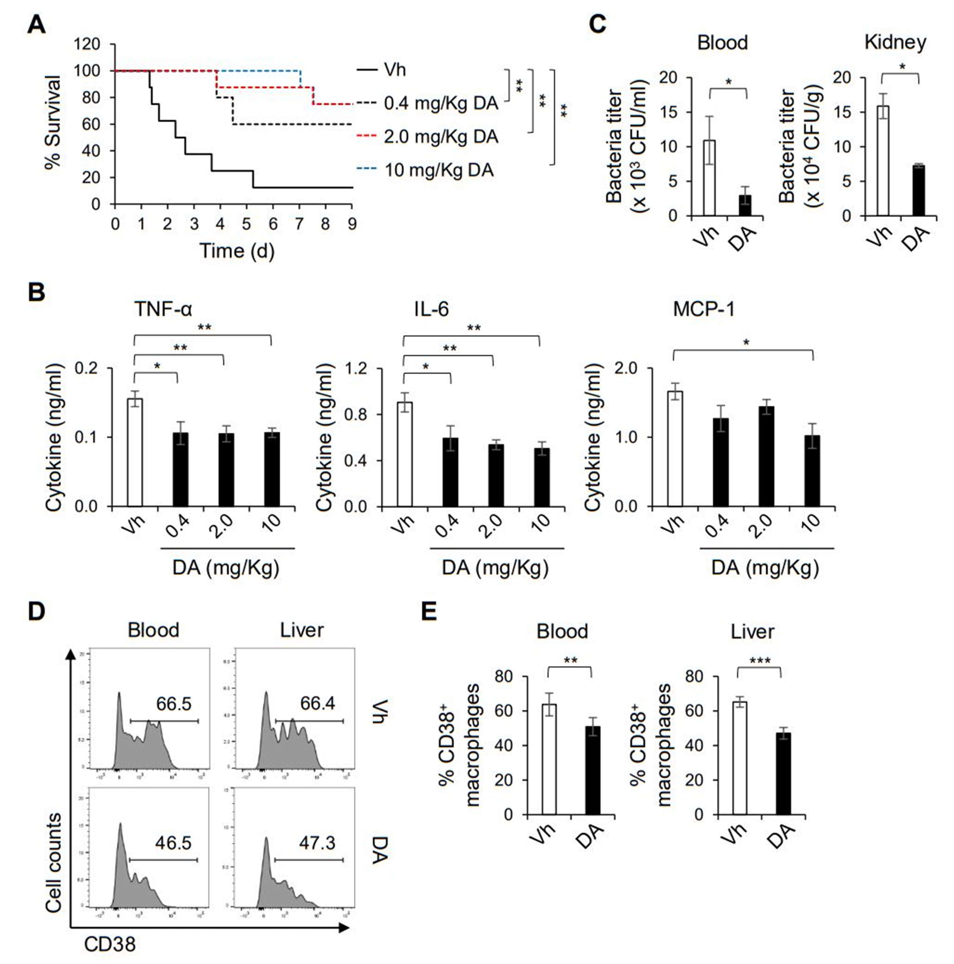 Ijms 22 10950 g003 Ijms 22 10950 g003