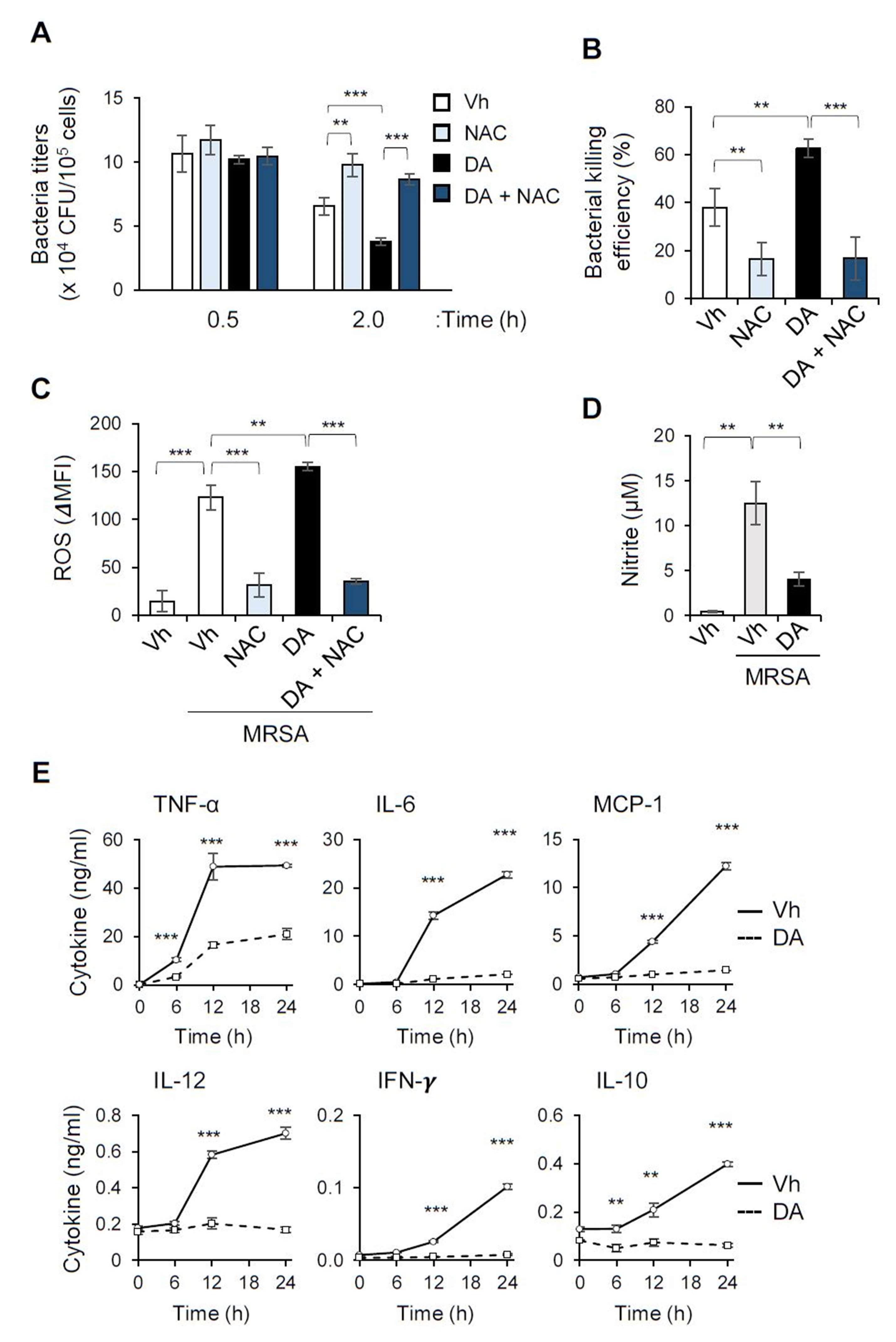 Ijms 22 10950 g004 Ijms 22 10950 g004