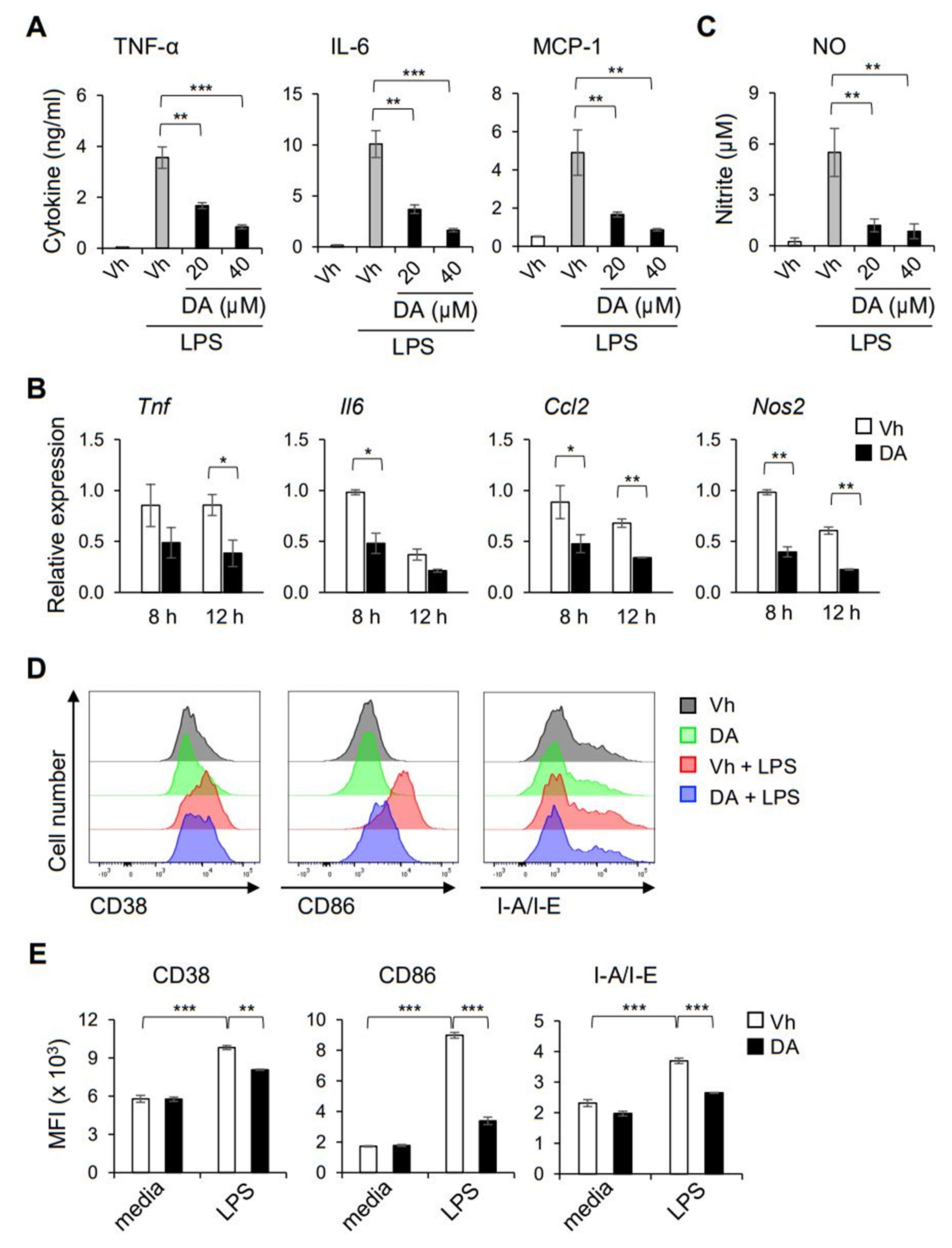 Ijms 22 10950 g005 Ijms 22 10950 g005