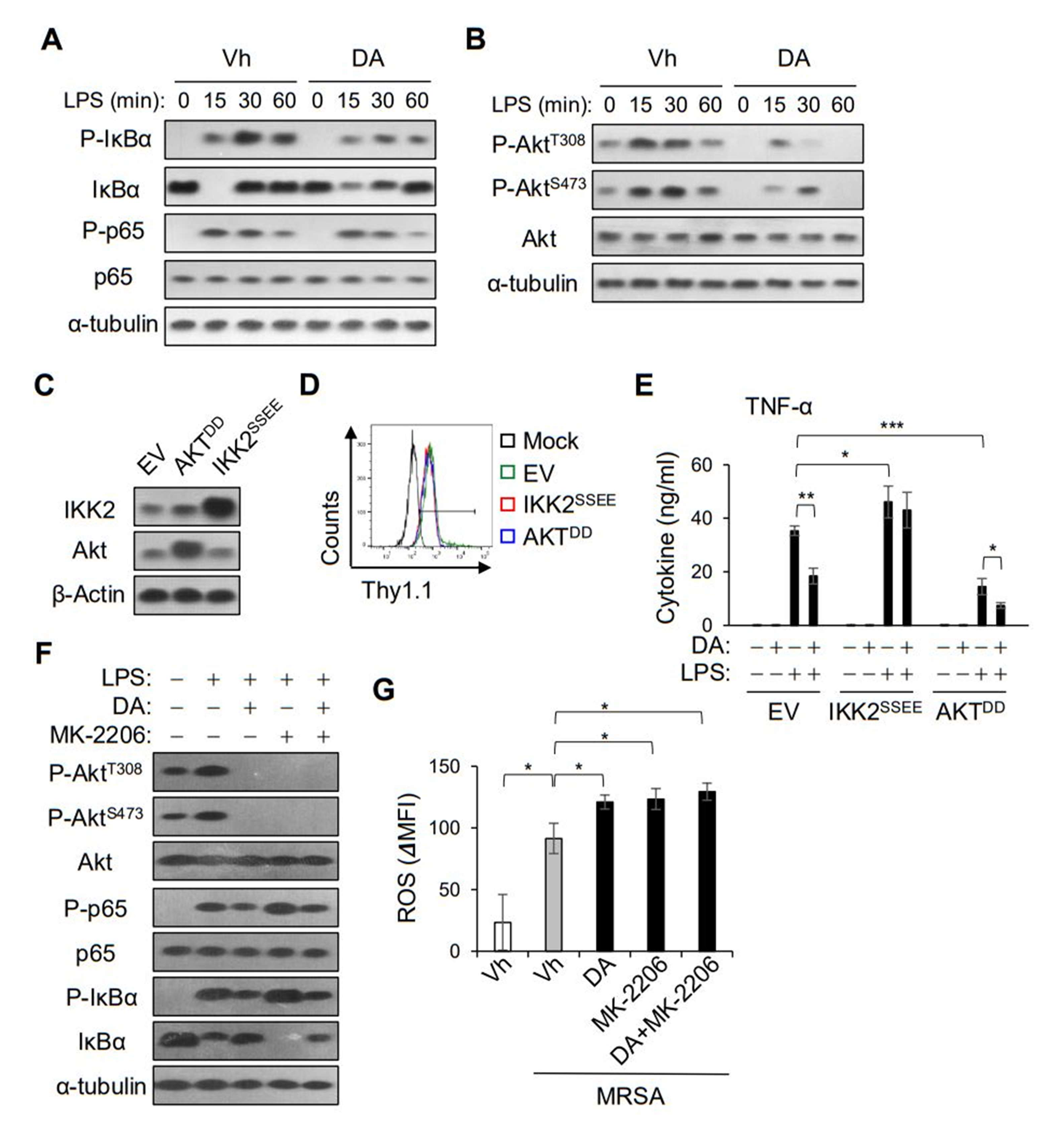 Ijms 22 10950 g006 Ijms 22 10950 g006