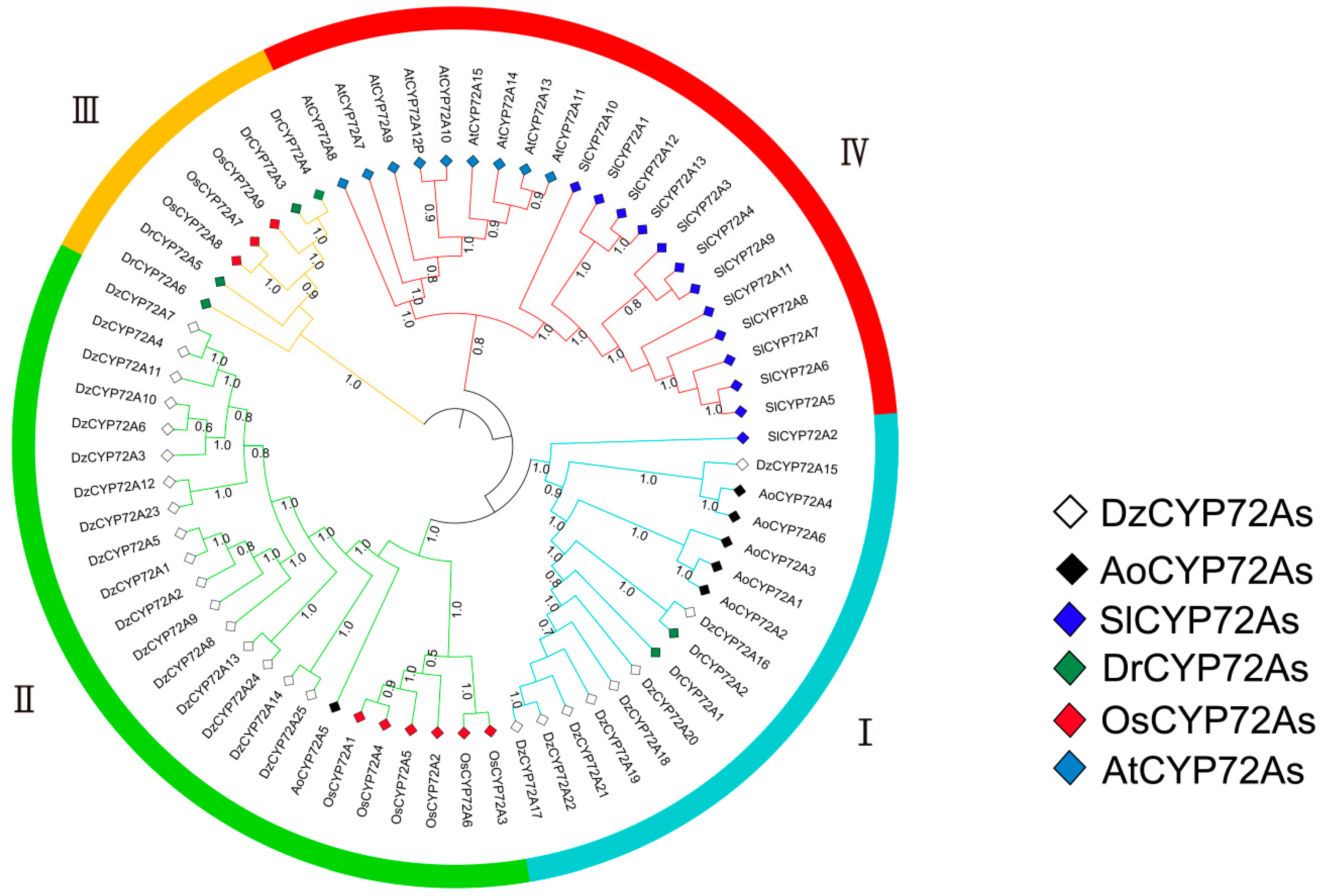 Ijms 22 10953 g001 550