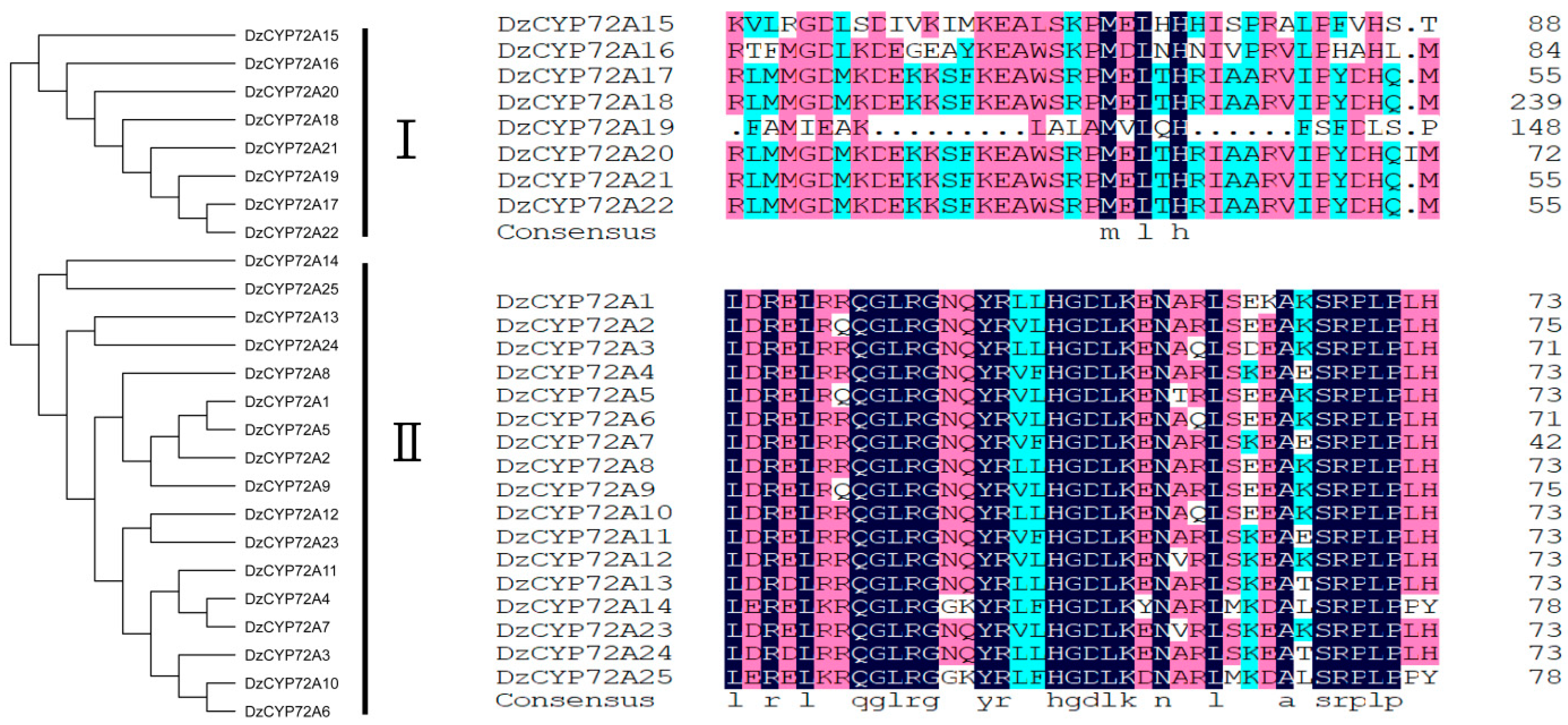 Ijms 22 10953 g002 550