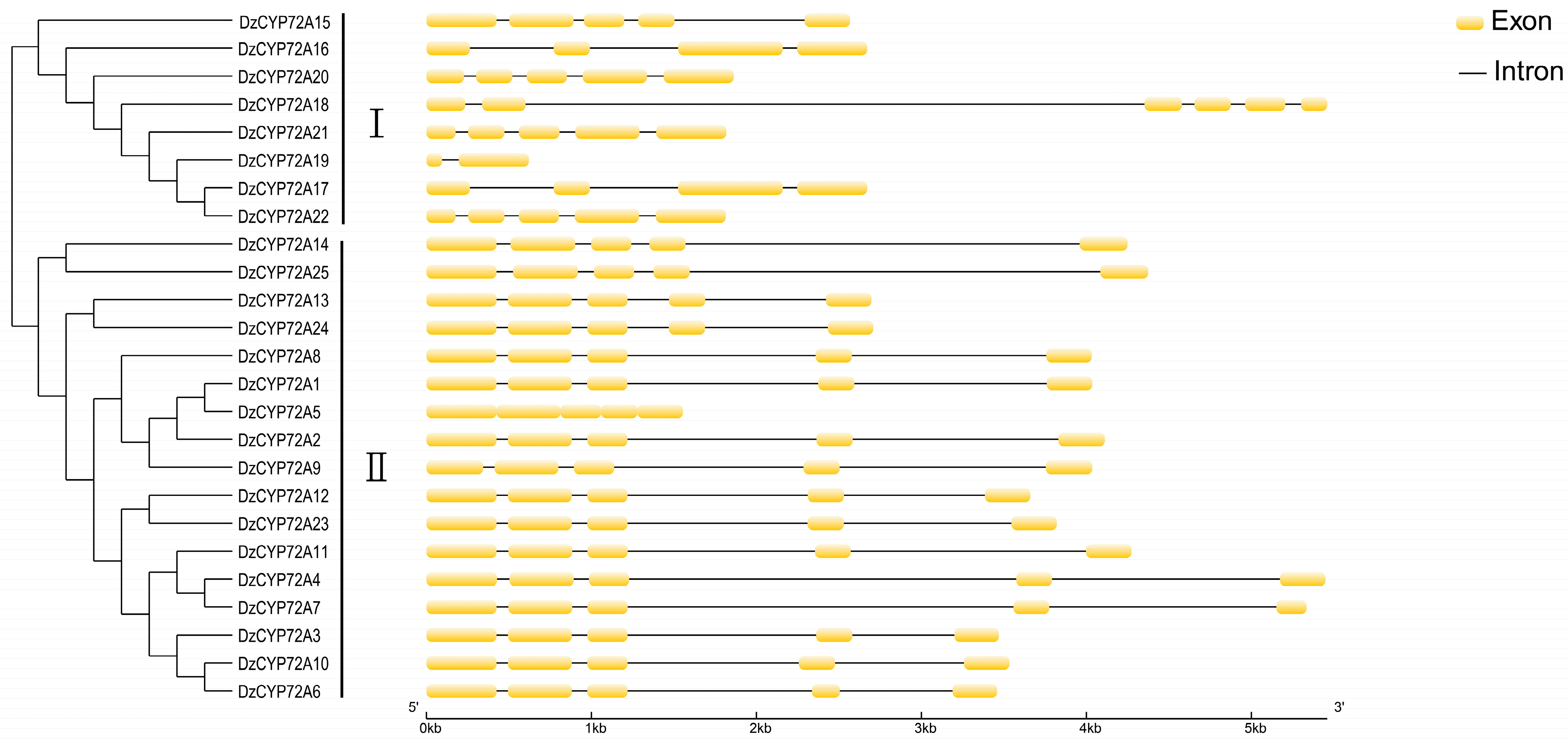 Ijms 22 10953 g003 550