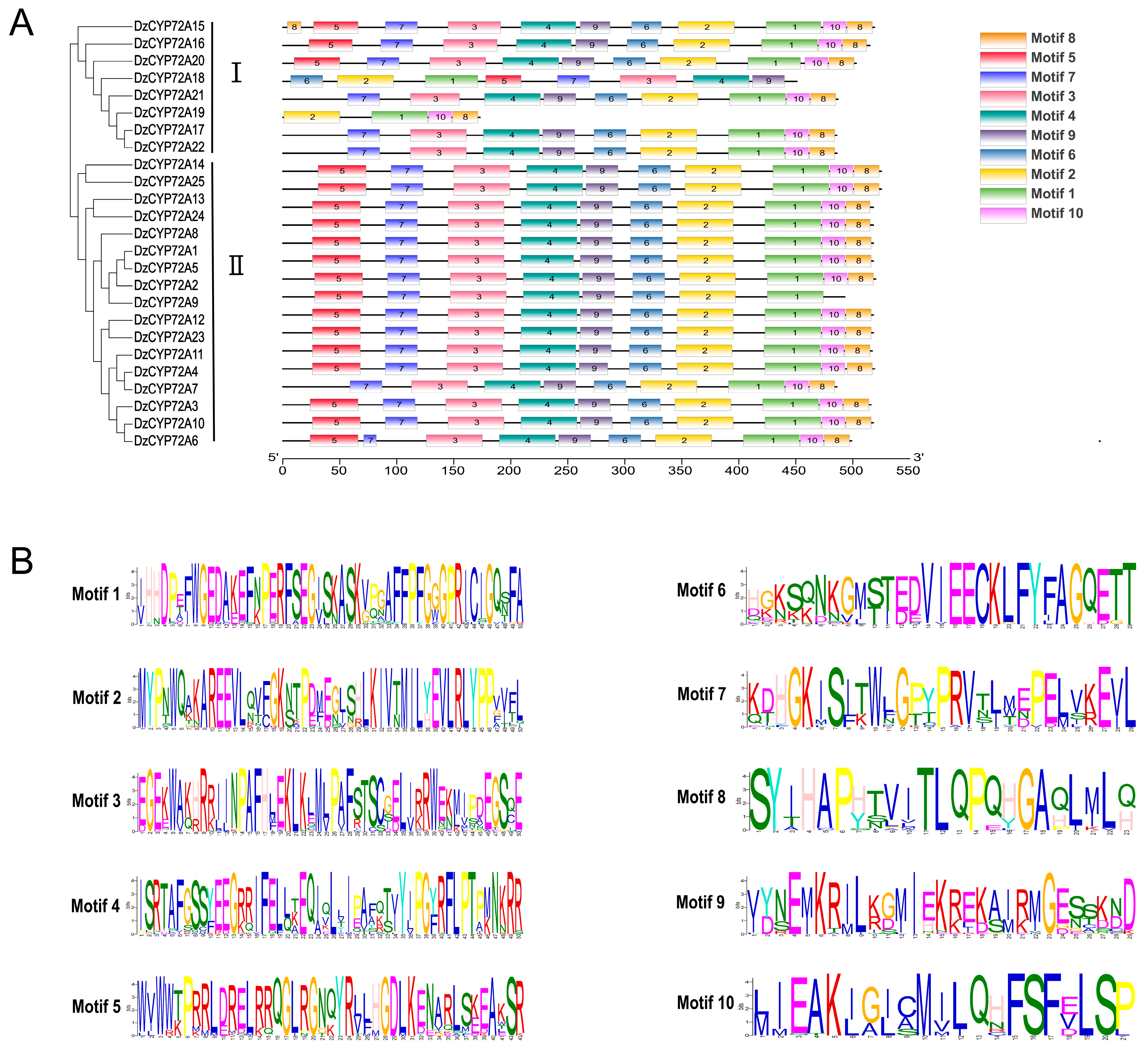 Ijms 22 10953 g004 550