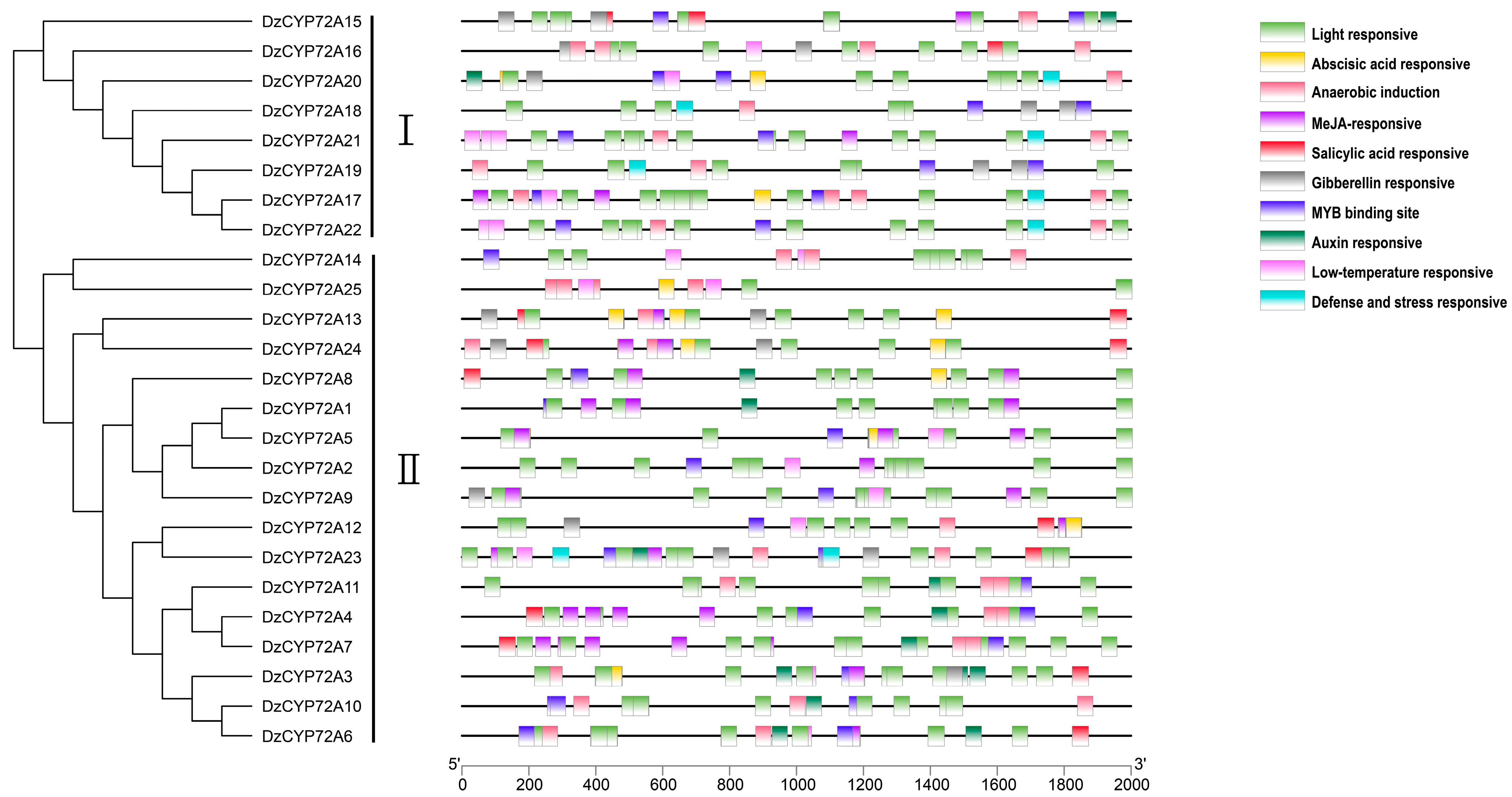 Ijms 22 10953 g005 550