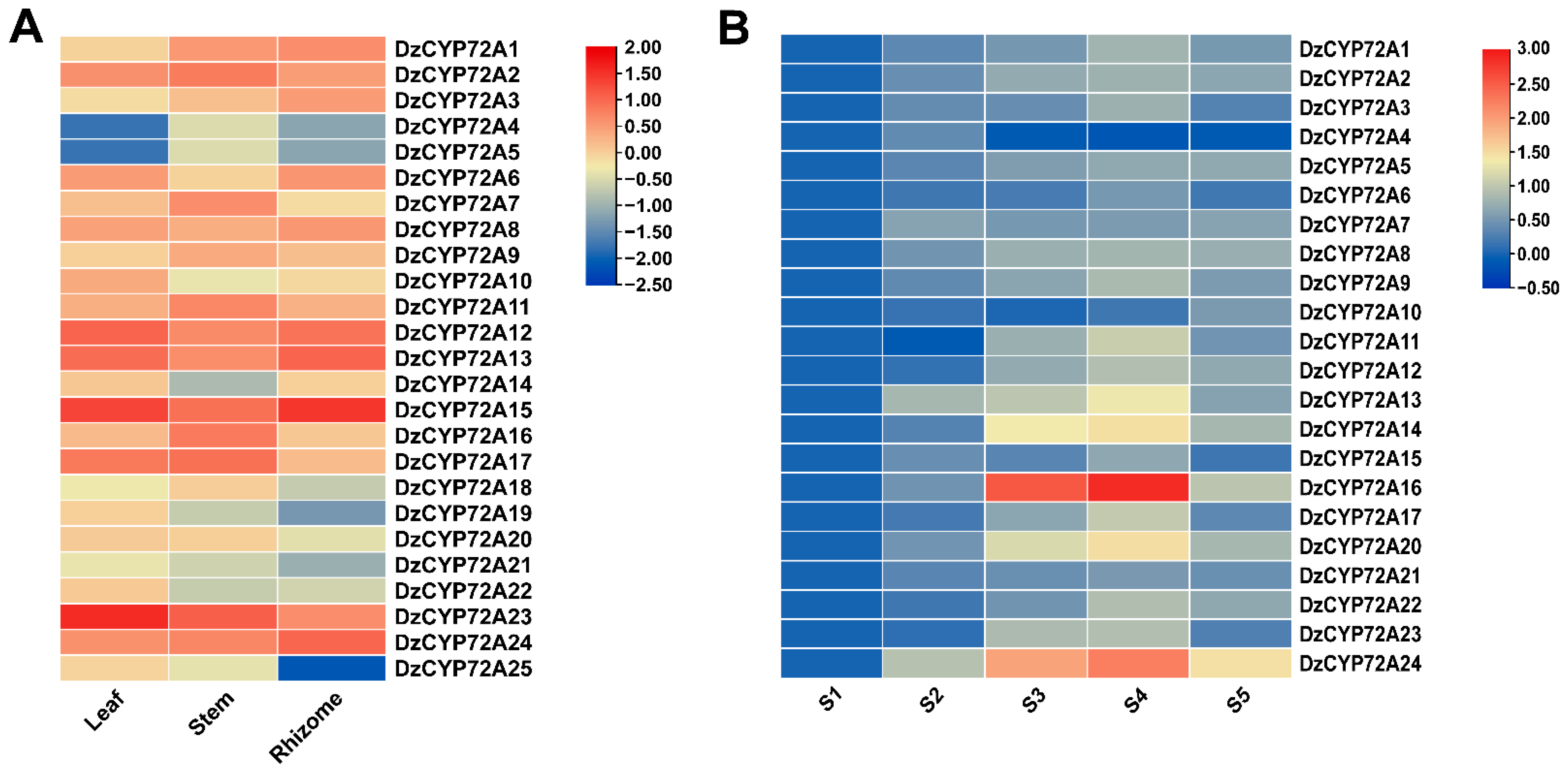 Ijms 22 10953 g006 550