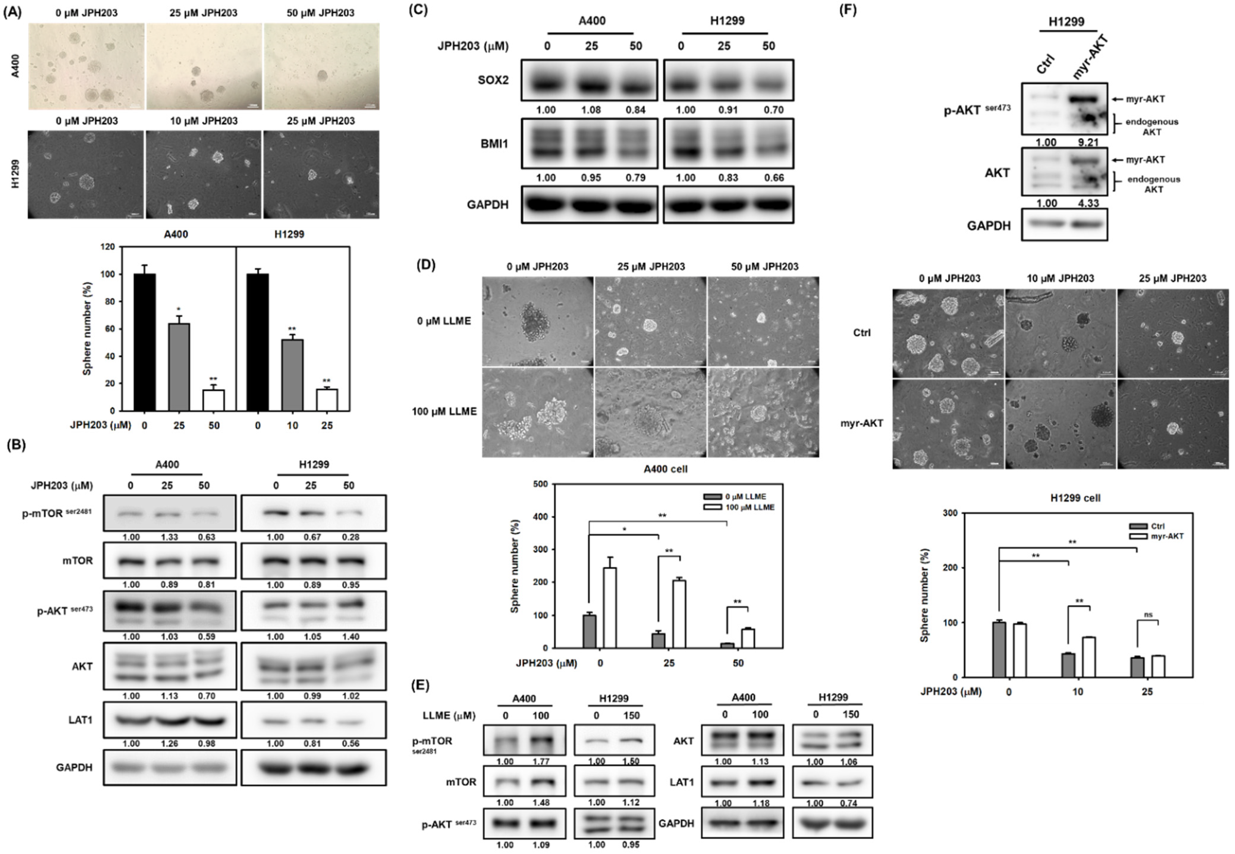 Ijms 22 10955 g003 550