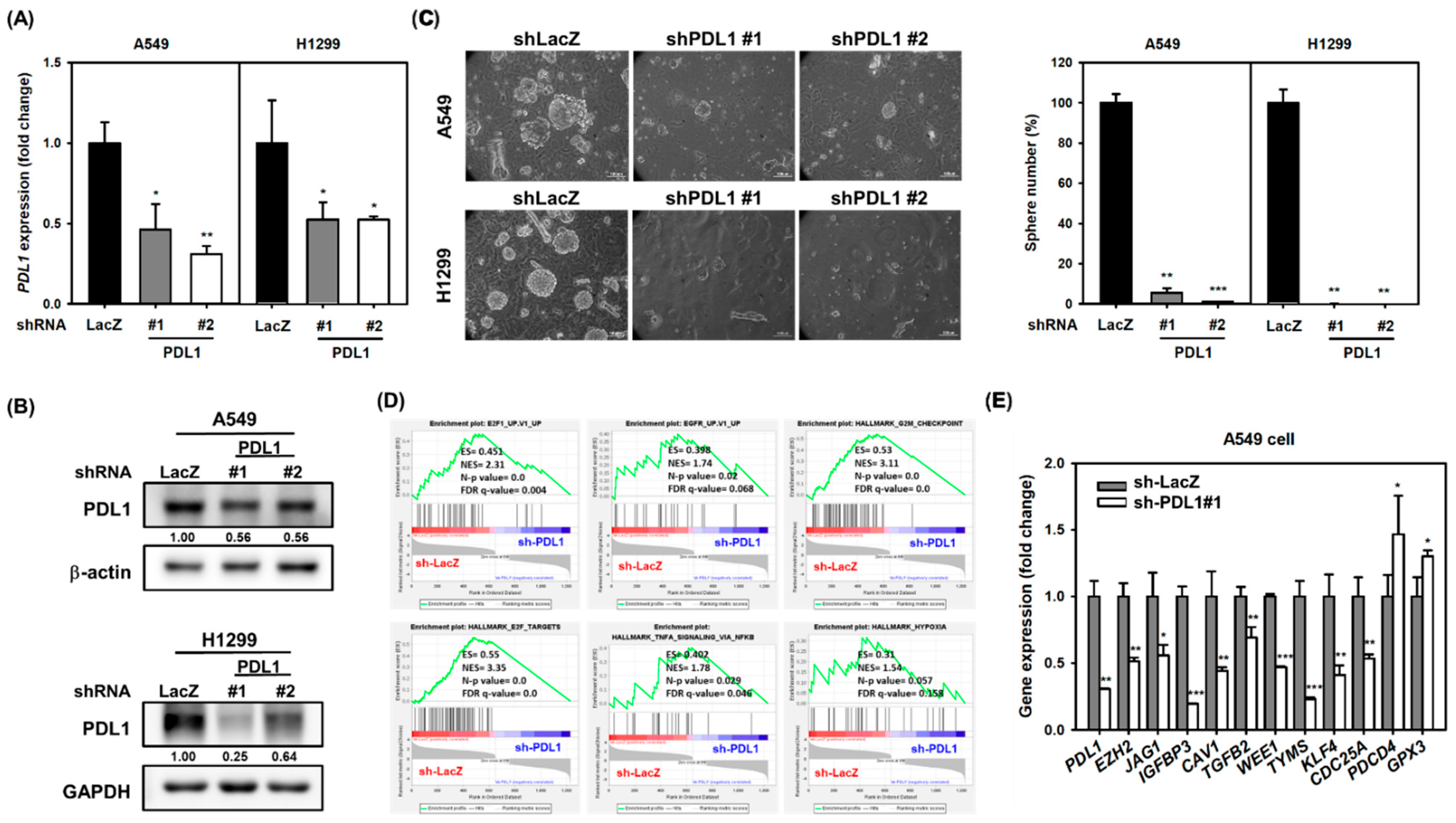 Ijms 22 10955 g005 550
