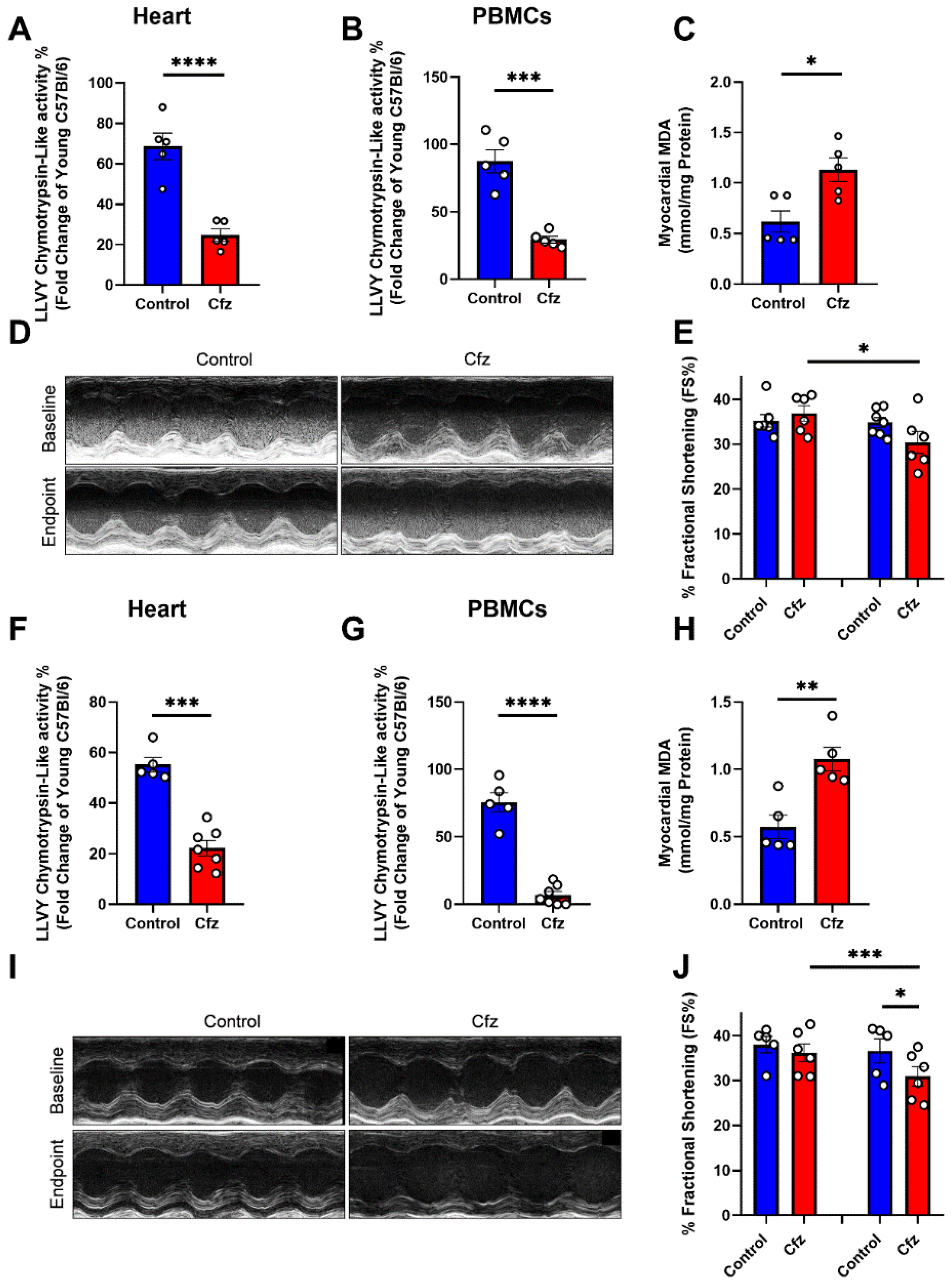 Ijms 22 10956 g001 550