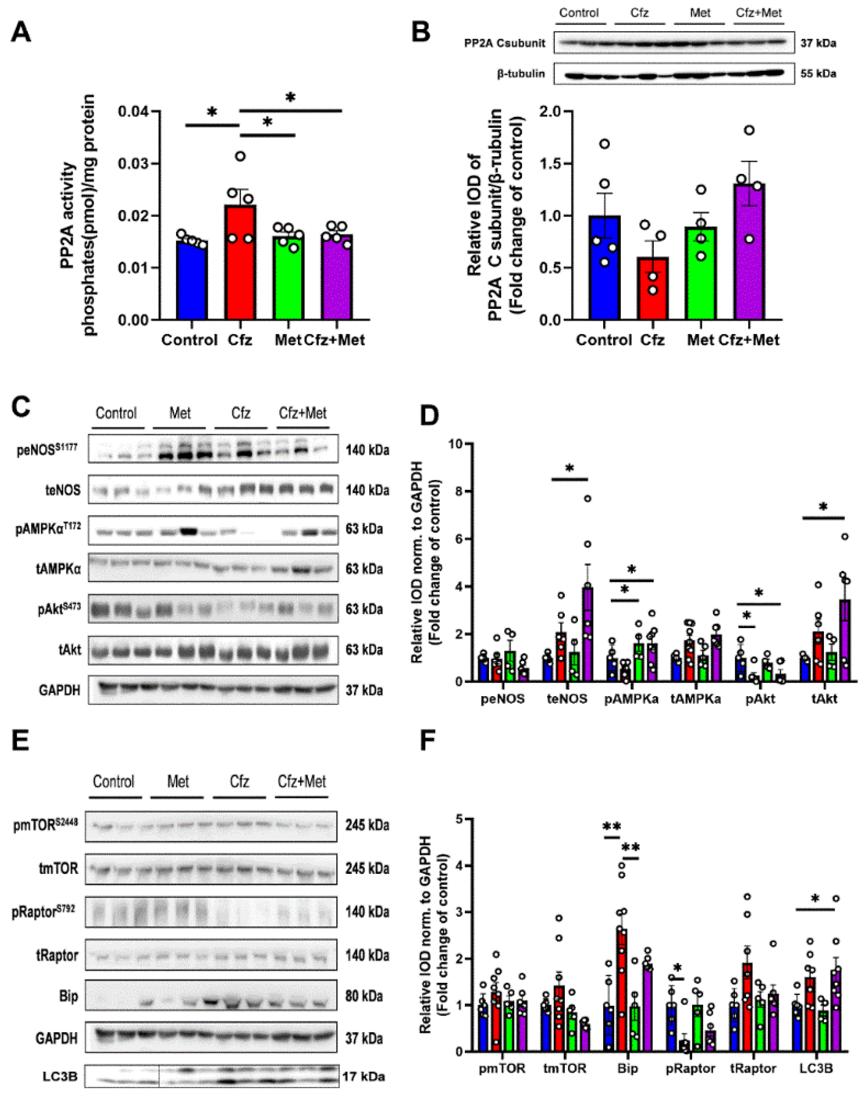 Ijms 22 10956 g005 550
