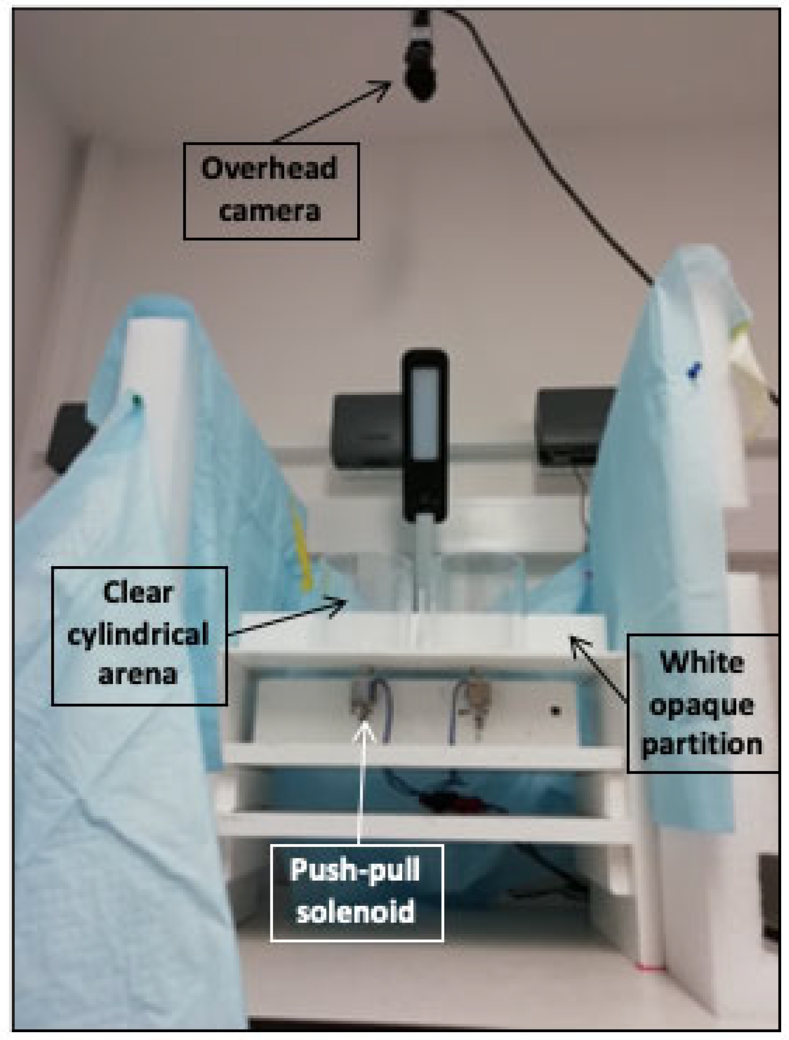 Ijms 22 10961 g007 550