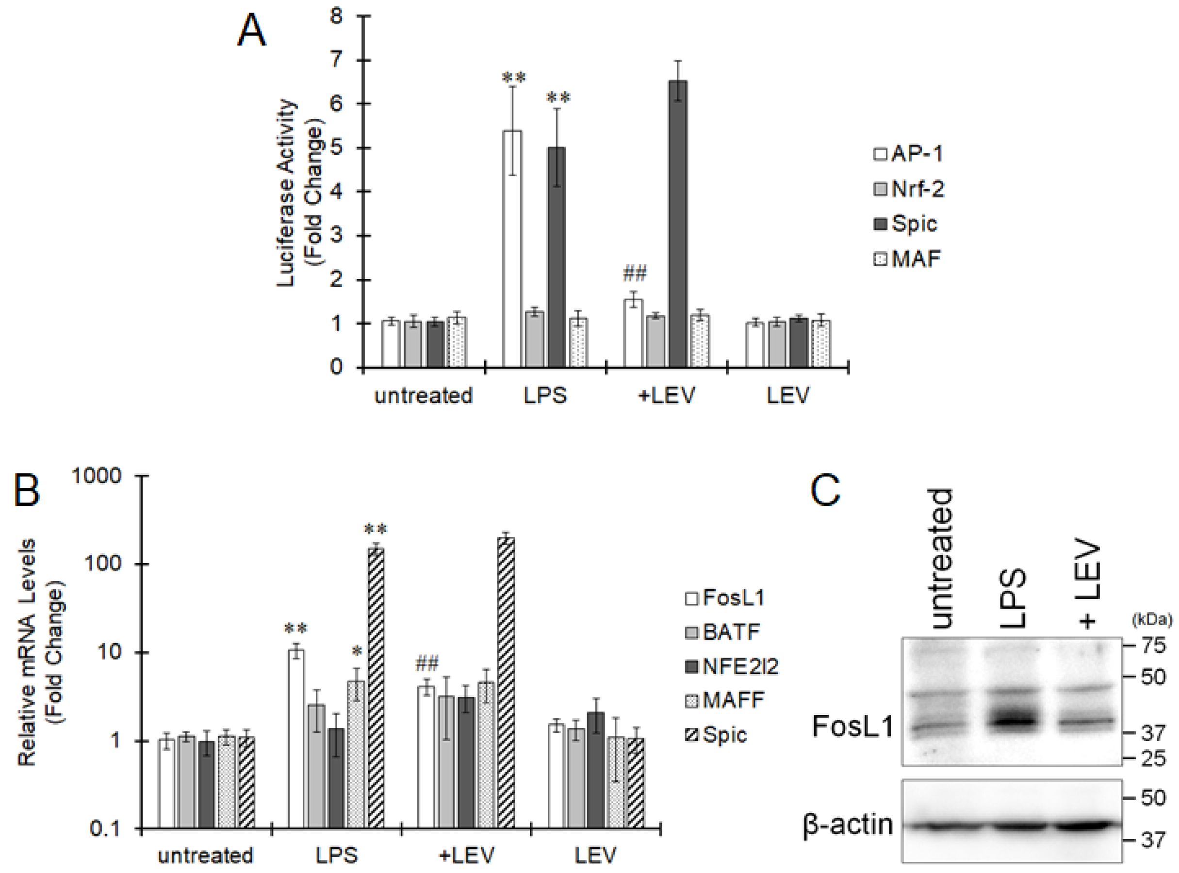 Ijms 22 10962 g002 550