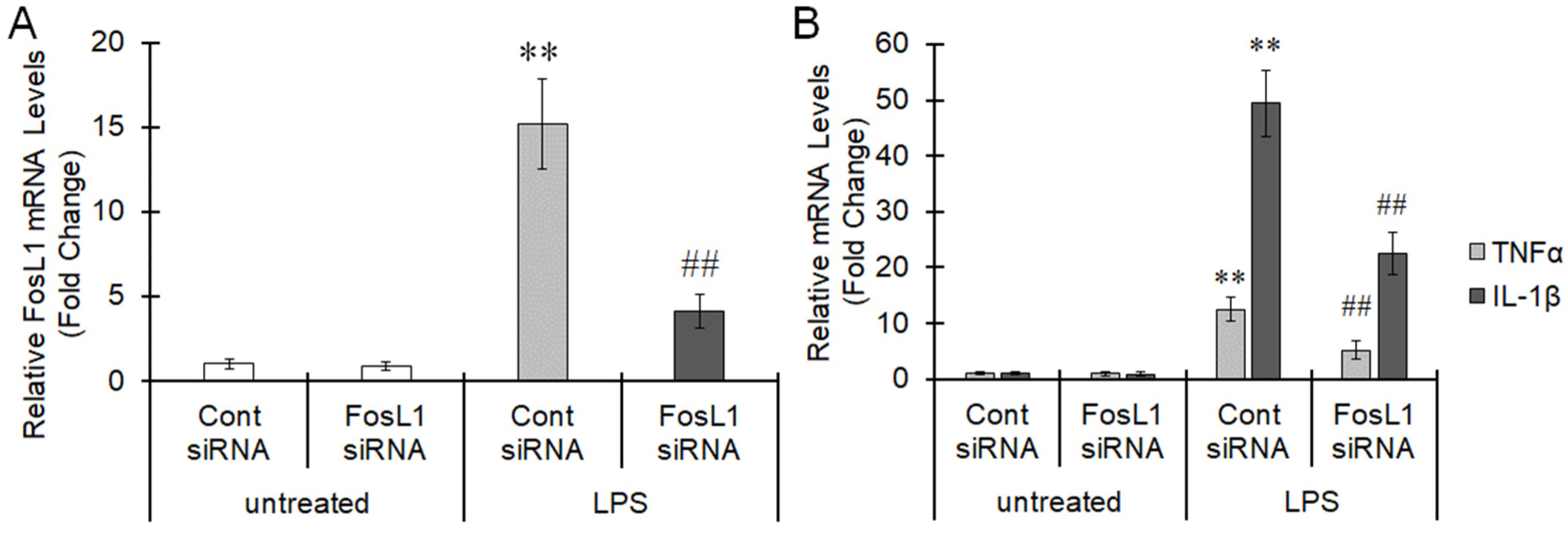 Ijms 22 10962 g003 550