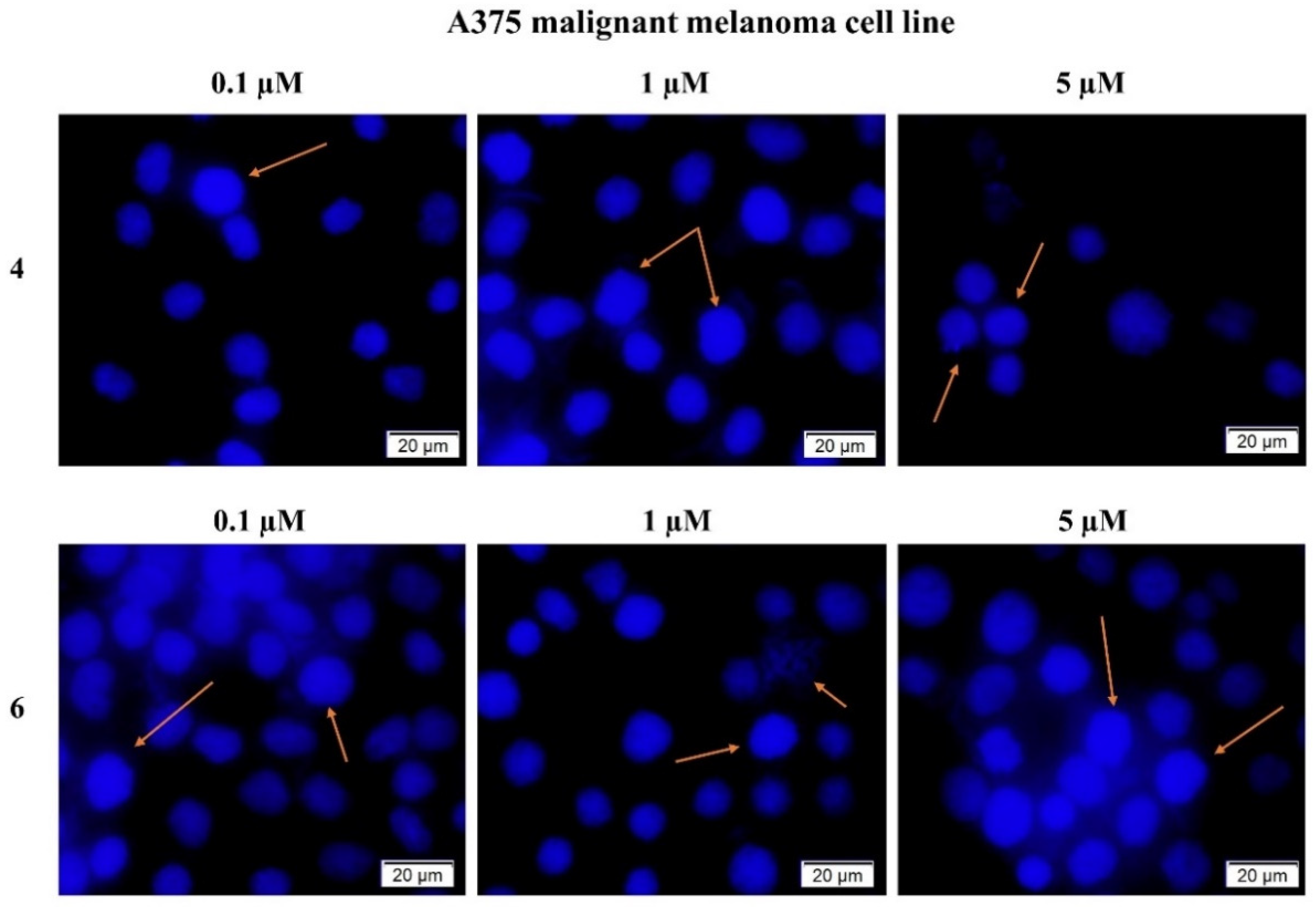 Ijms 22 10967 g002 550